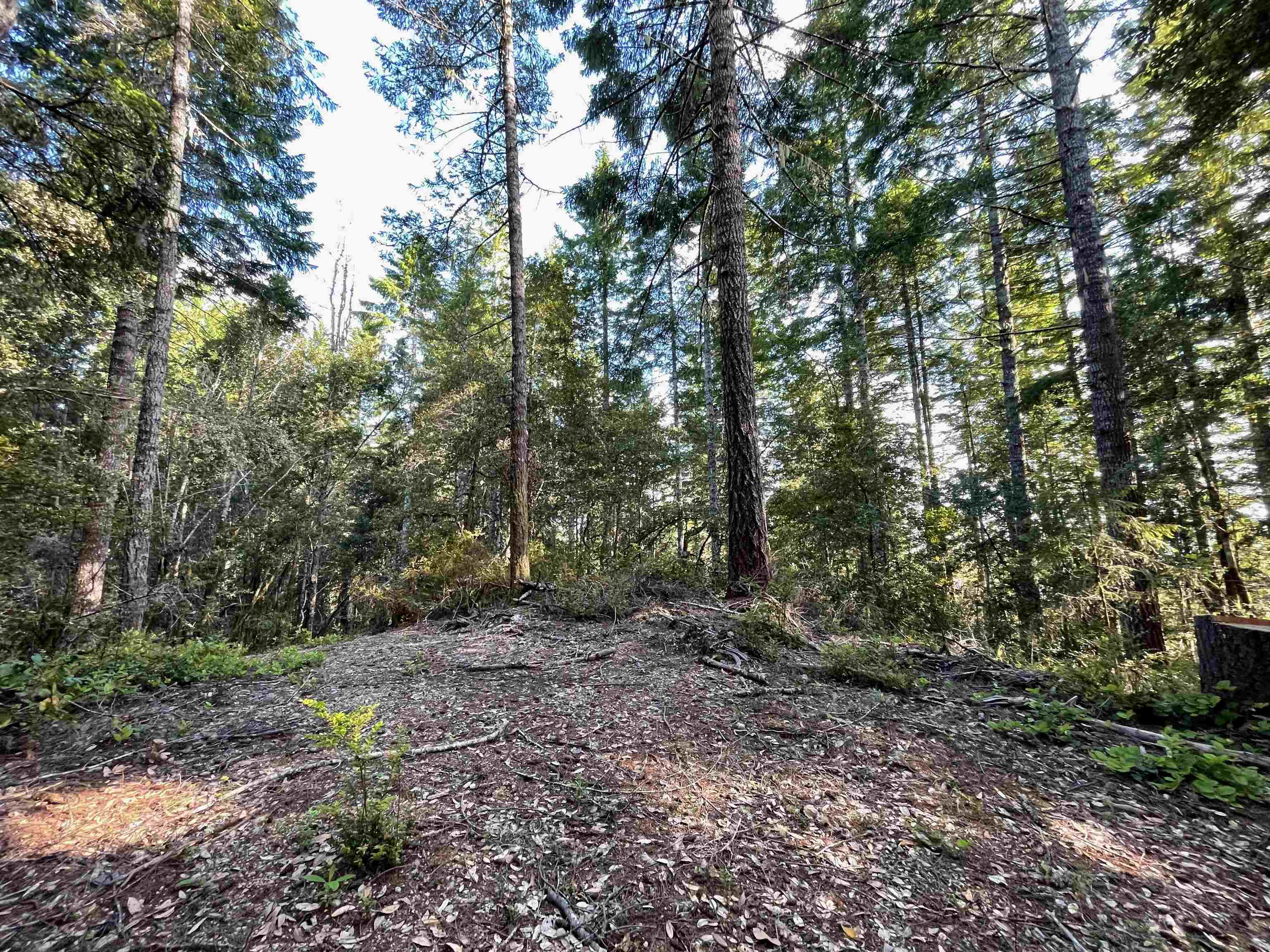 1851 Low Divide Road