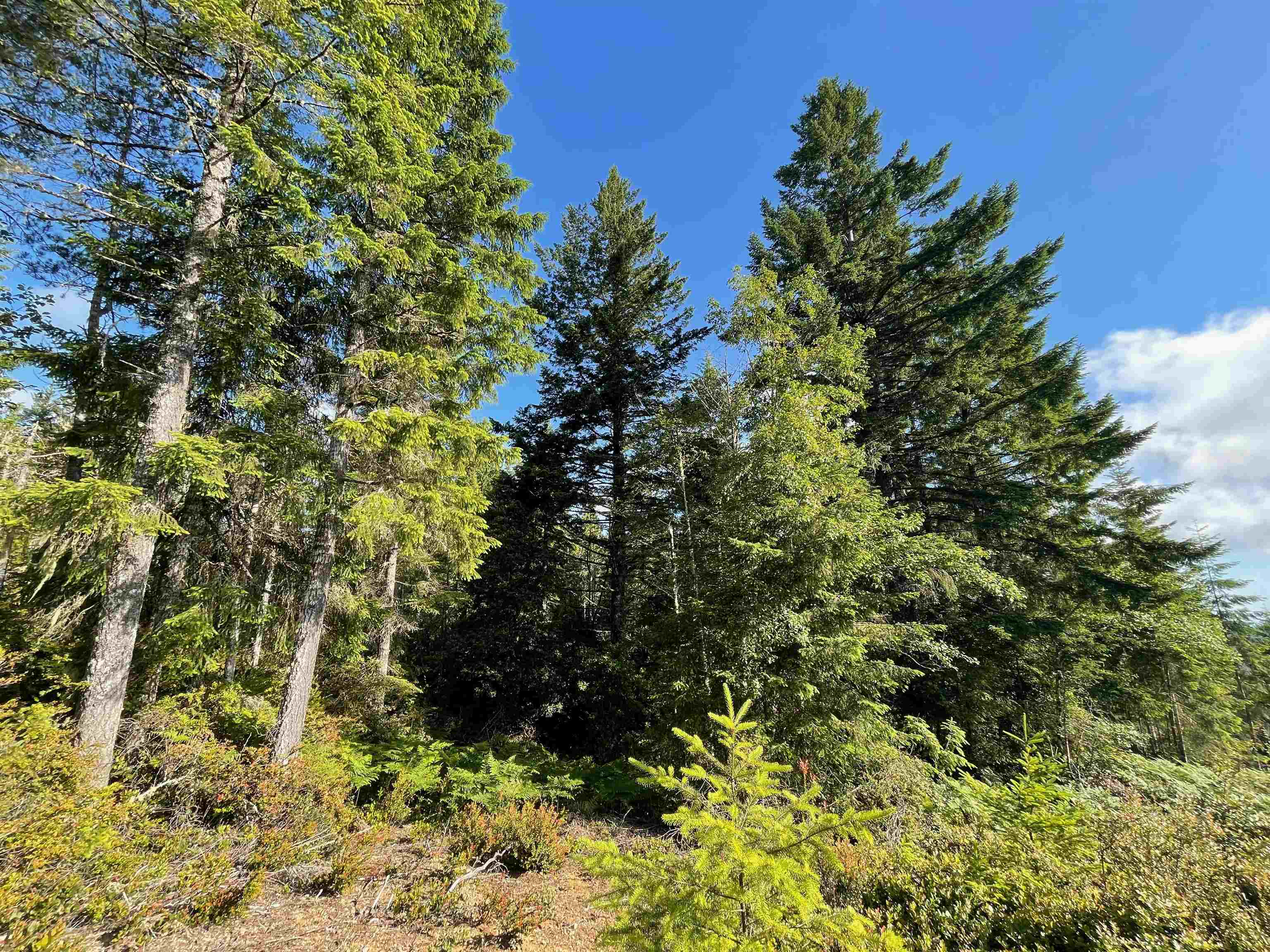 1851 Low Divide Road