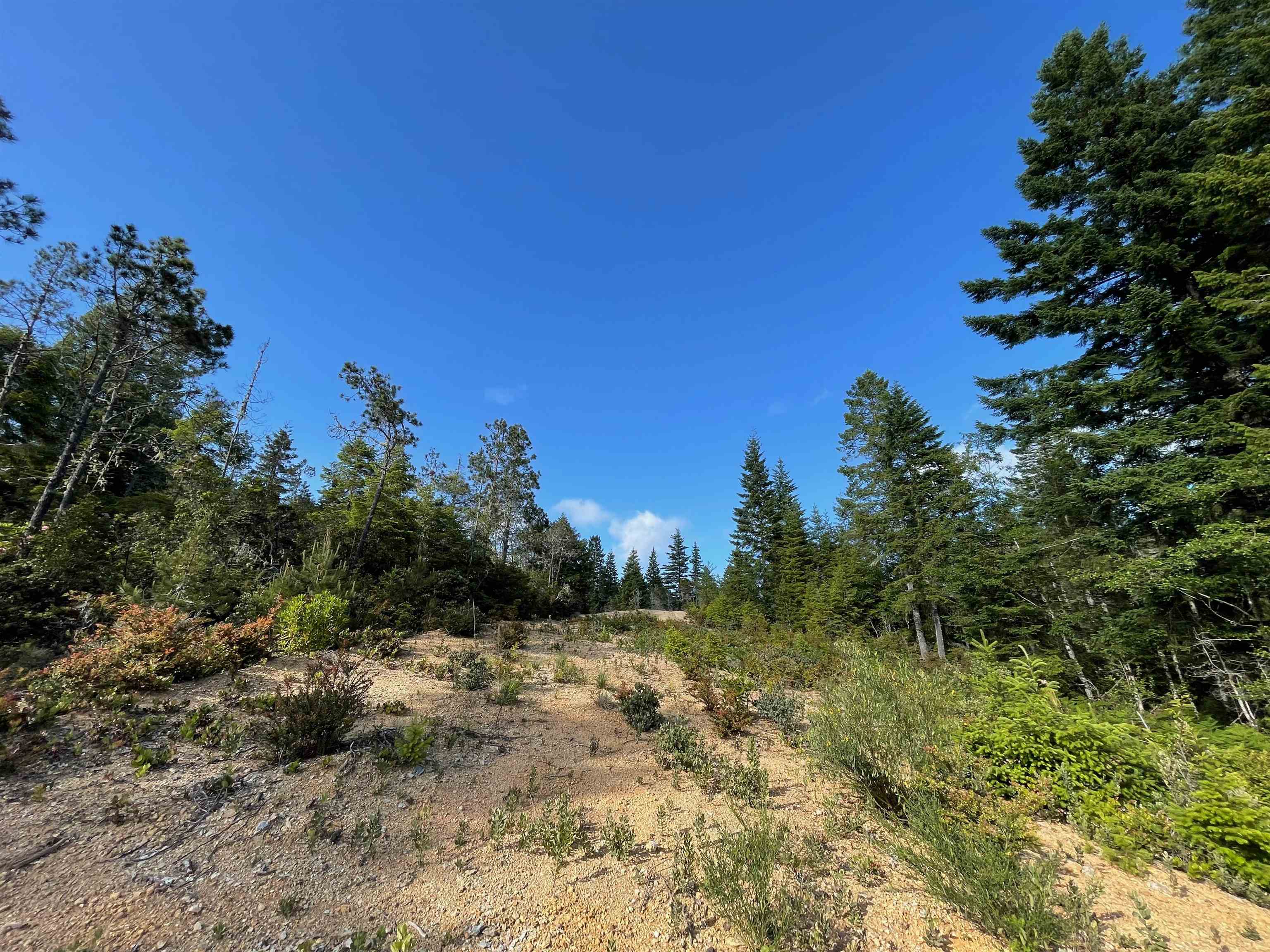 1851 Low Divide Road