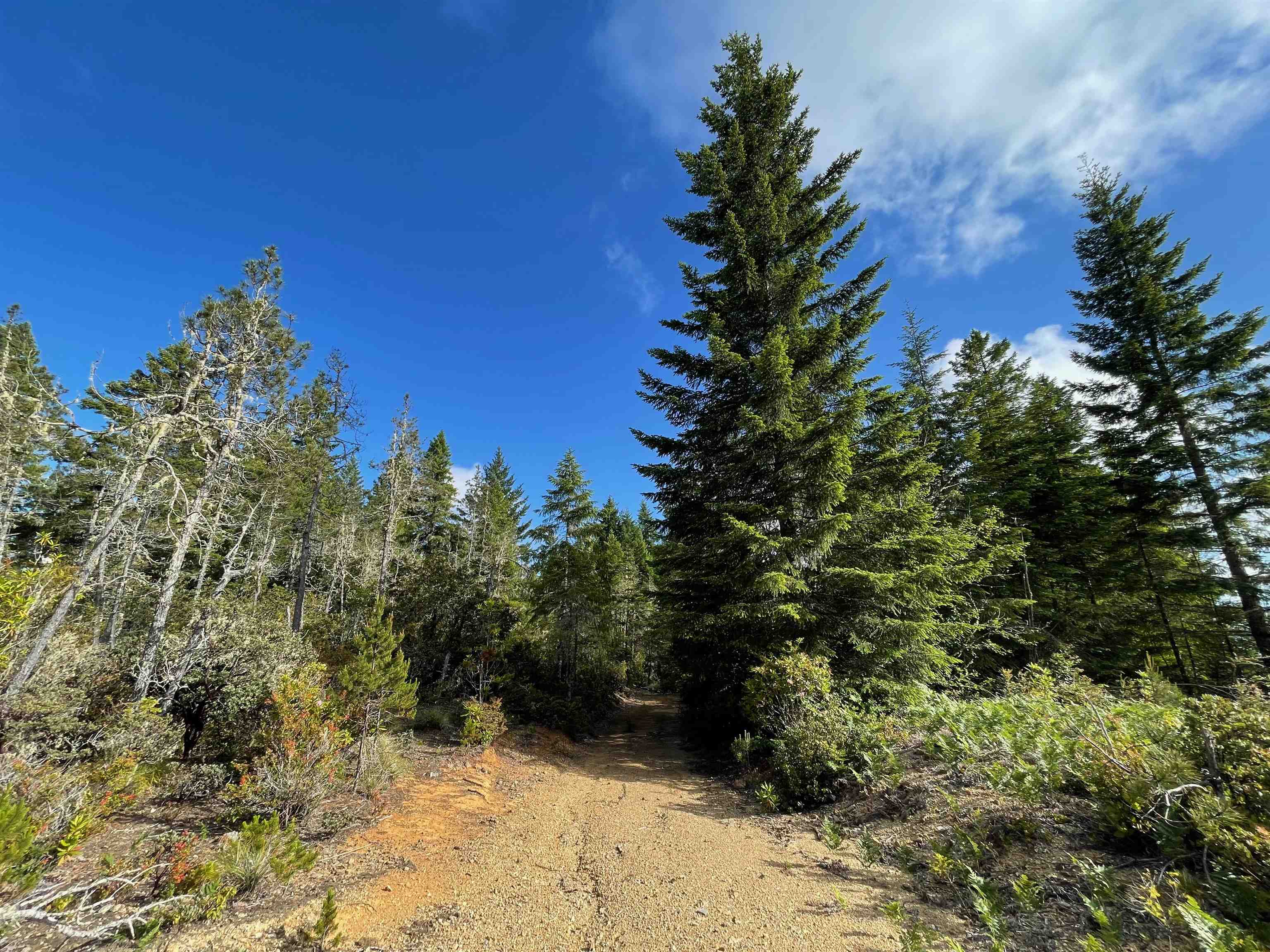 1851 Low Divide Road