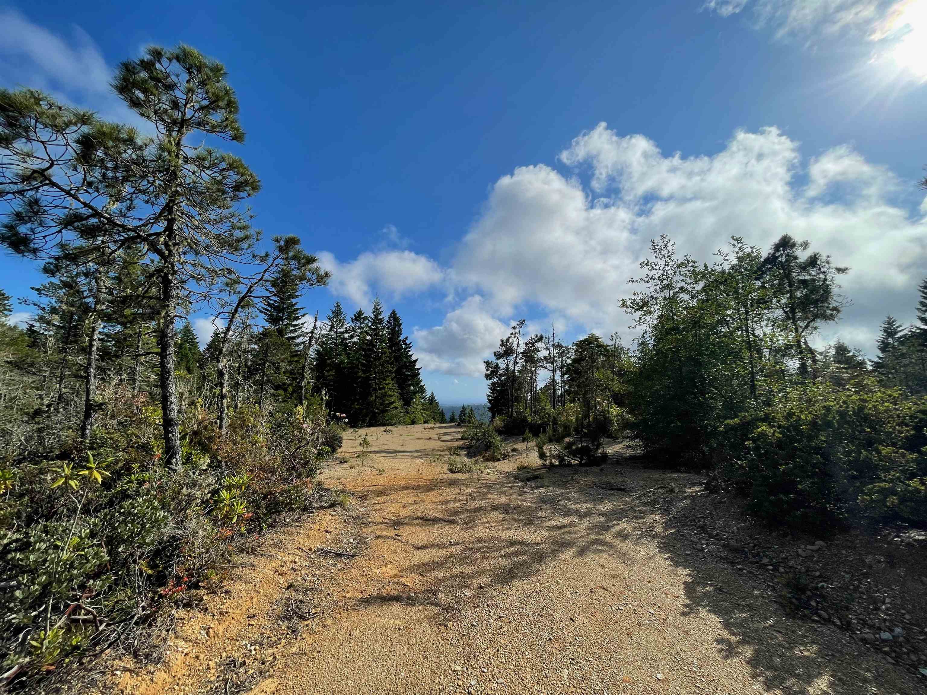 1851 Low Divide Road