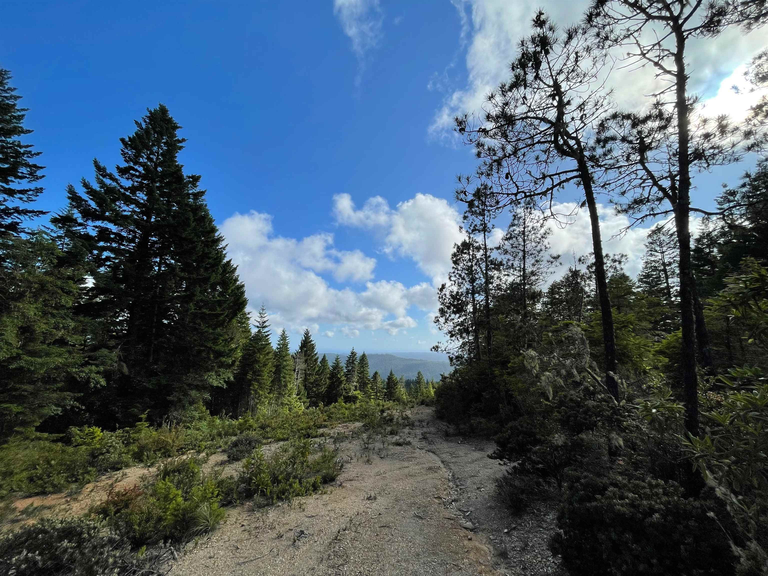 1851 Low Divide Road
