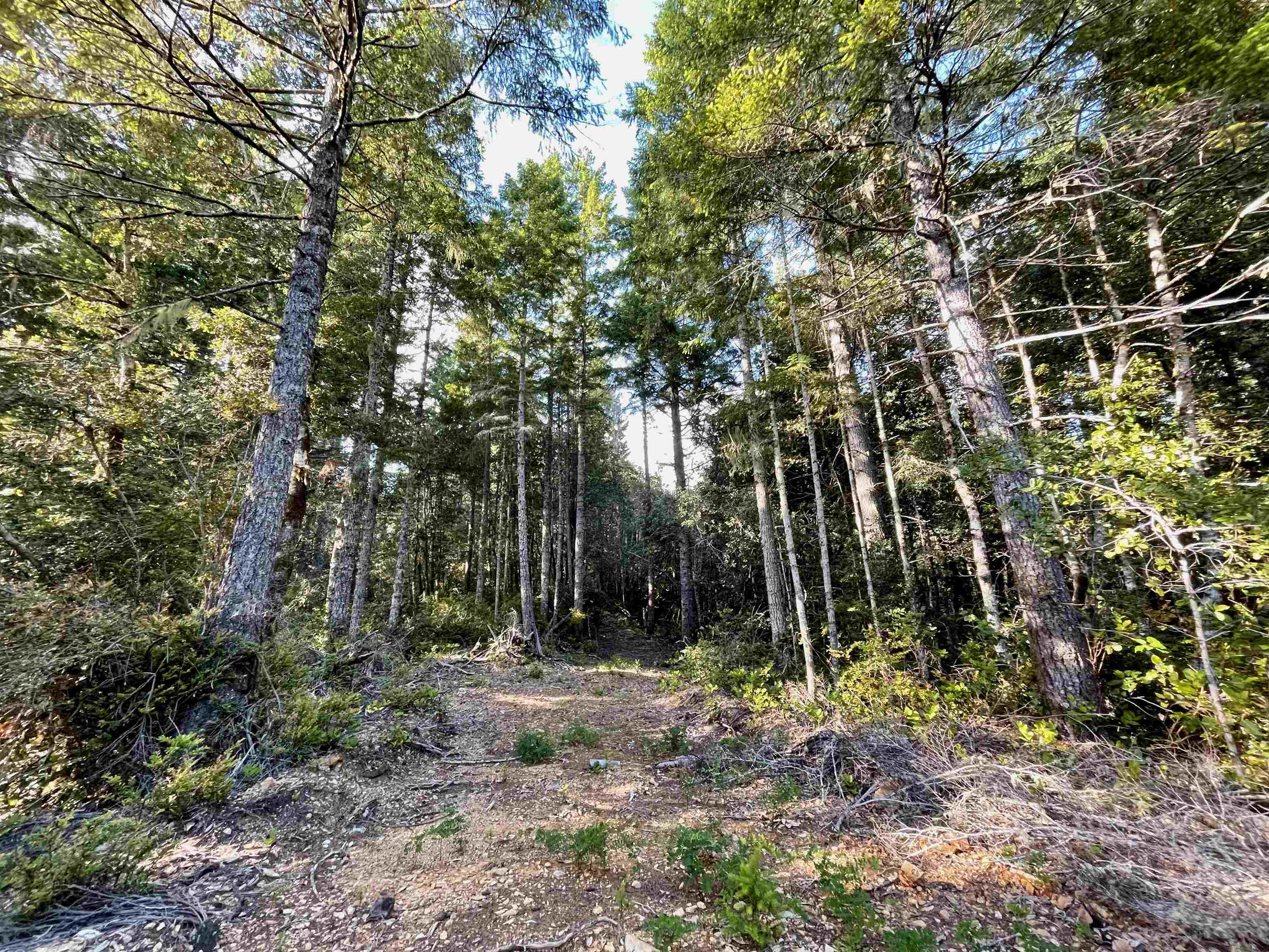 1851 Low Divide Road