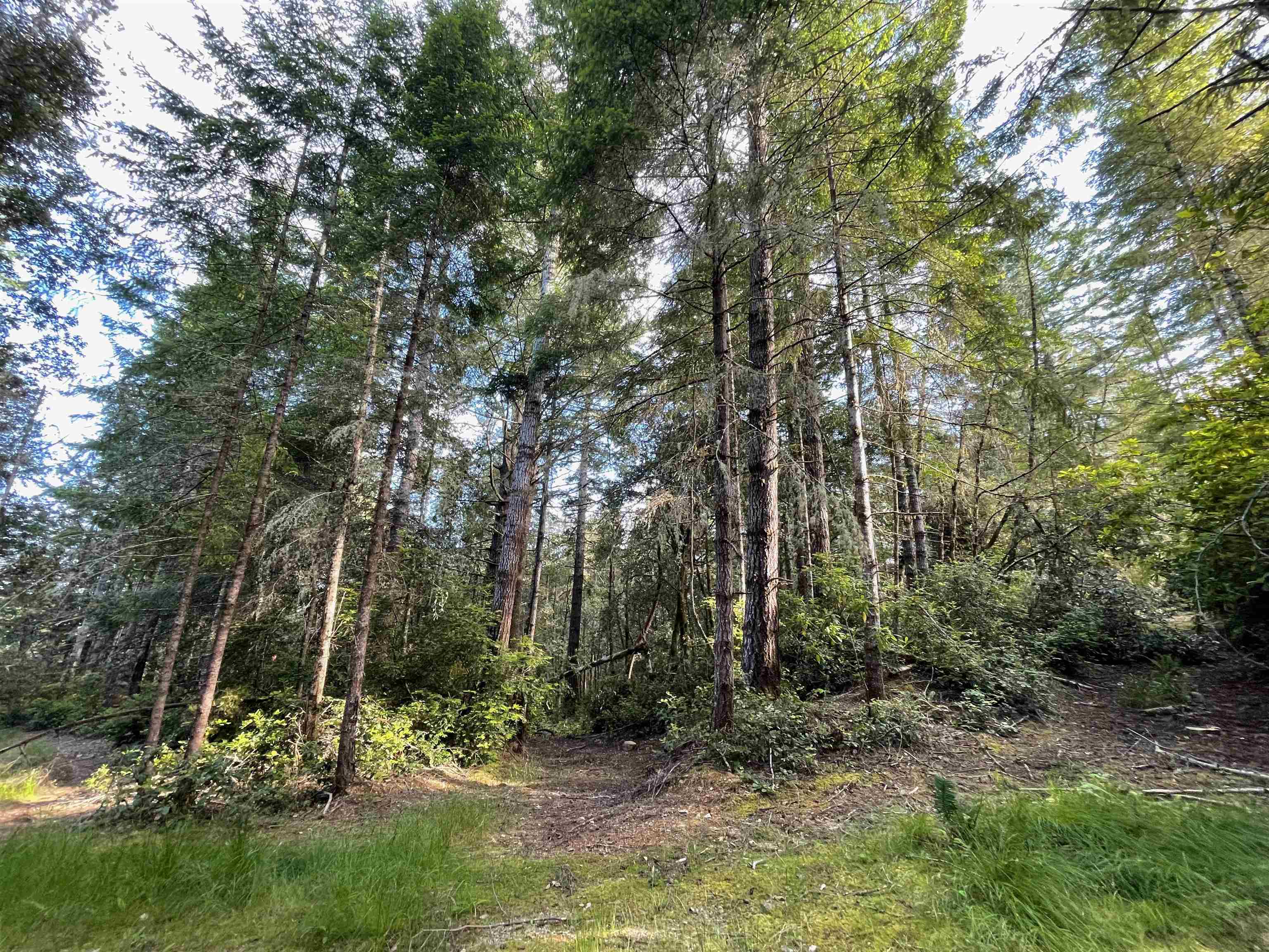 1851 Low Divide Road