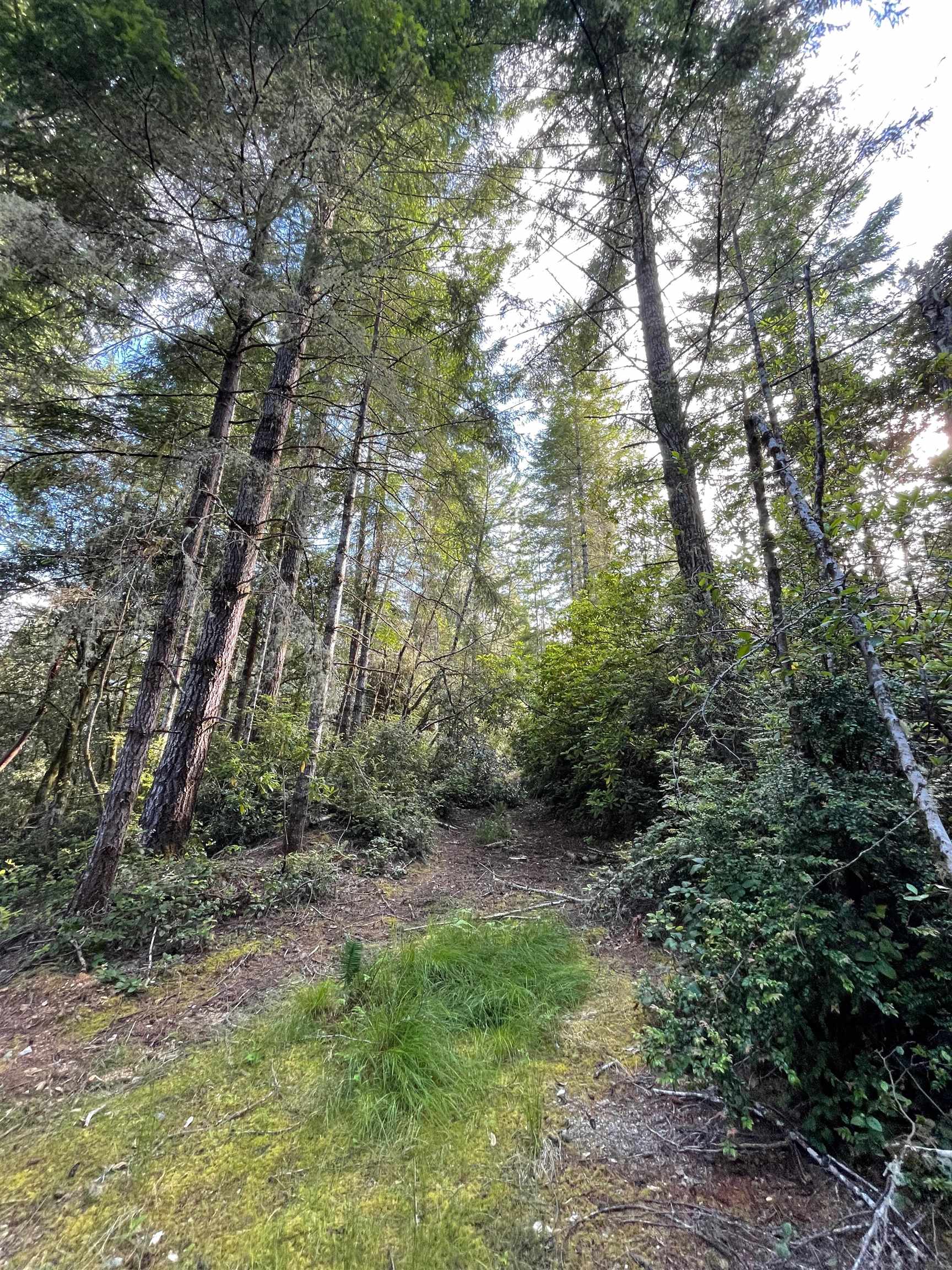 1851 Low Divide Road