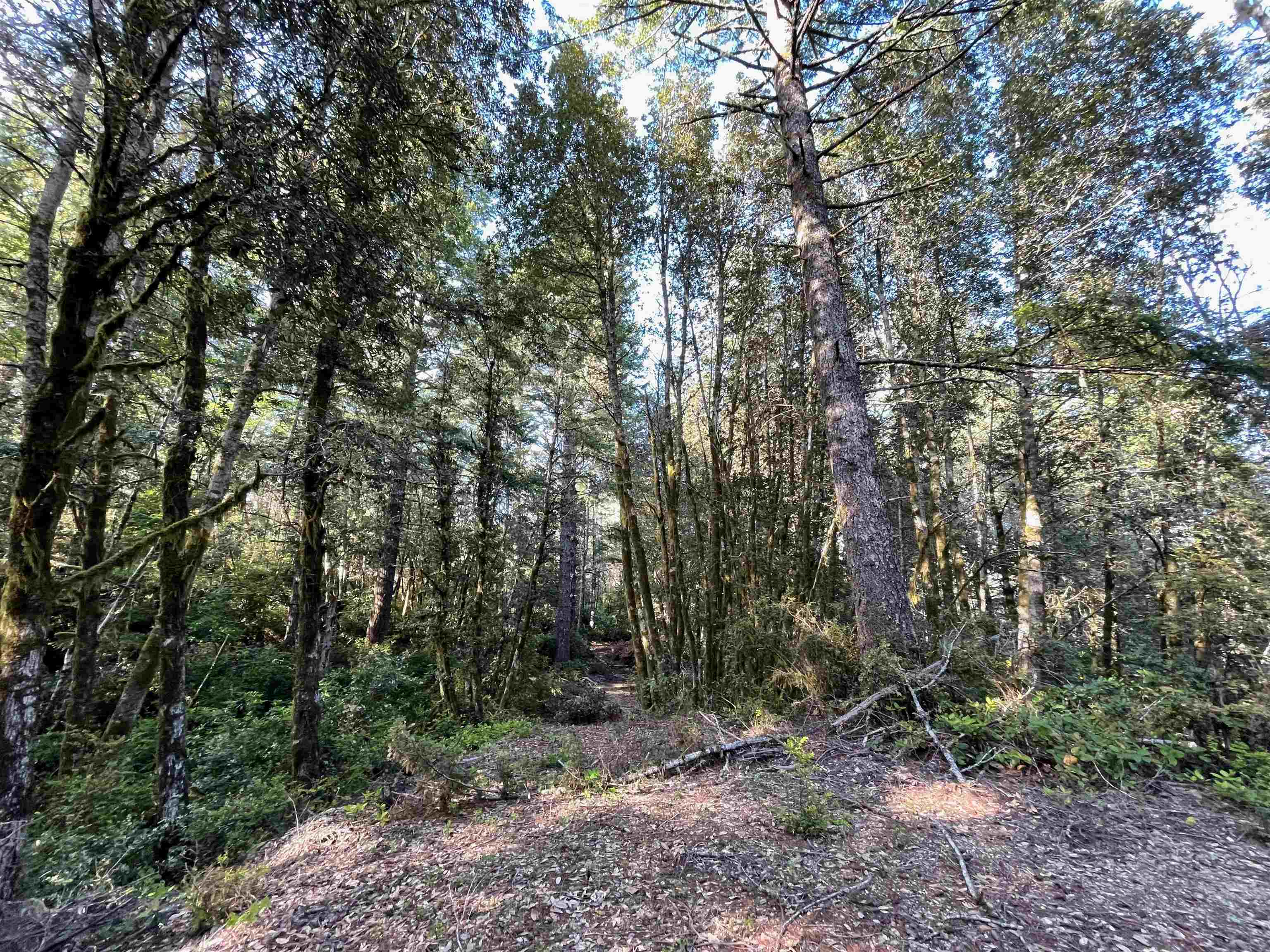 1851 Low Divide Road