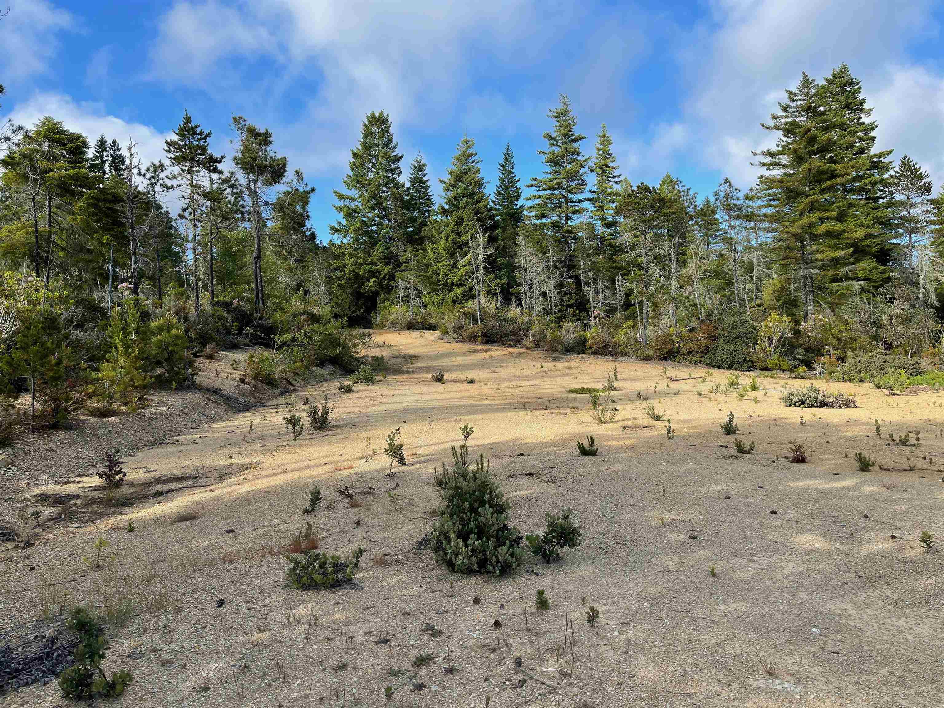 1851 Low Divide Road