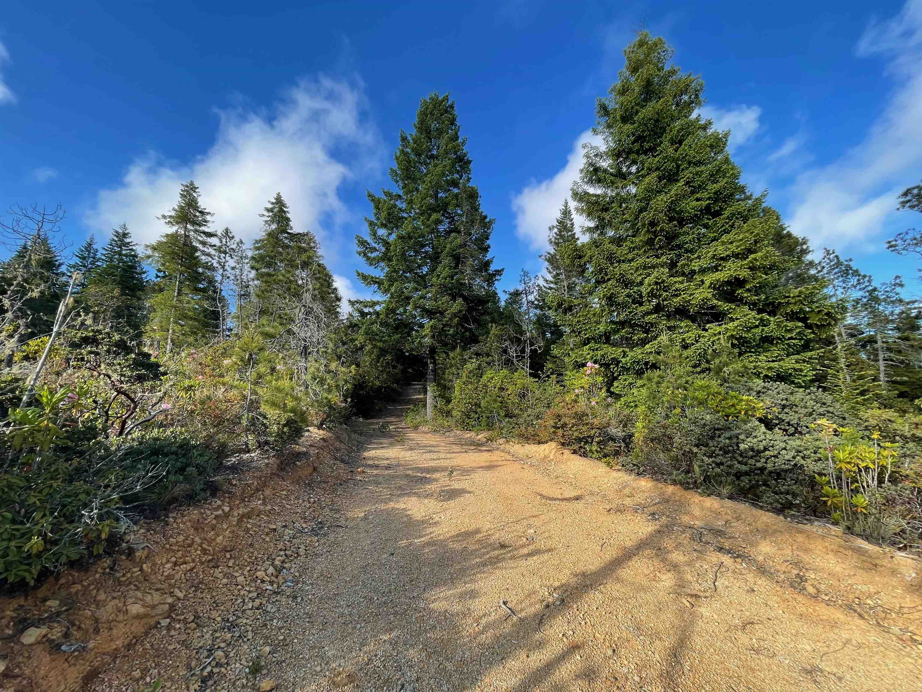 1851 Low Divide Road