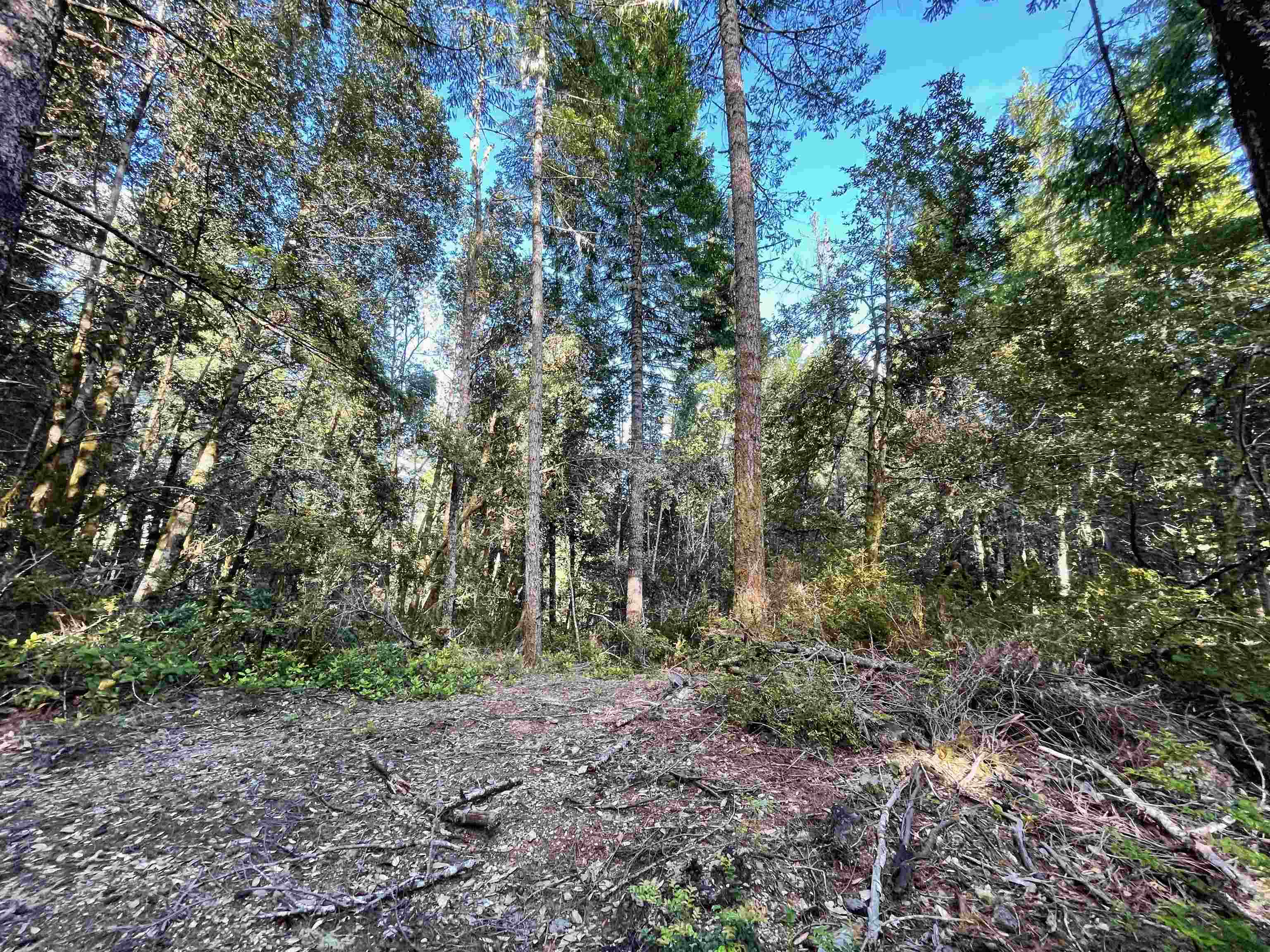 1851 Low Divide Road