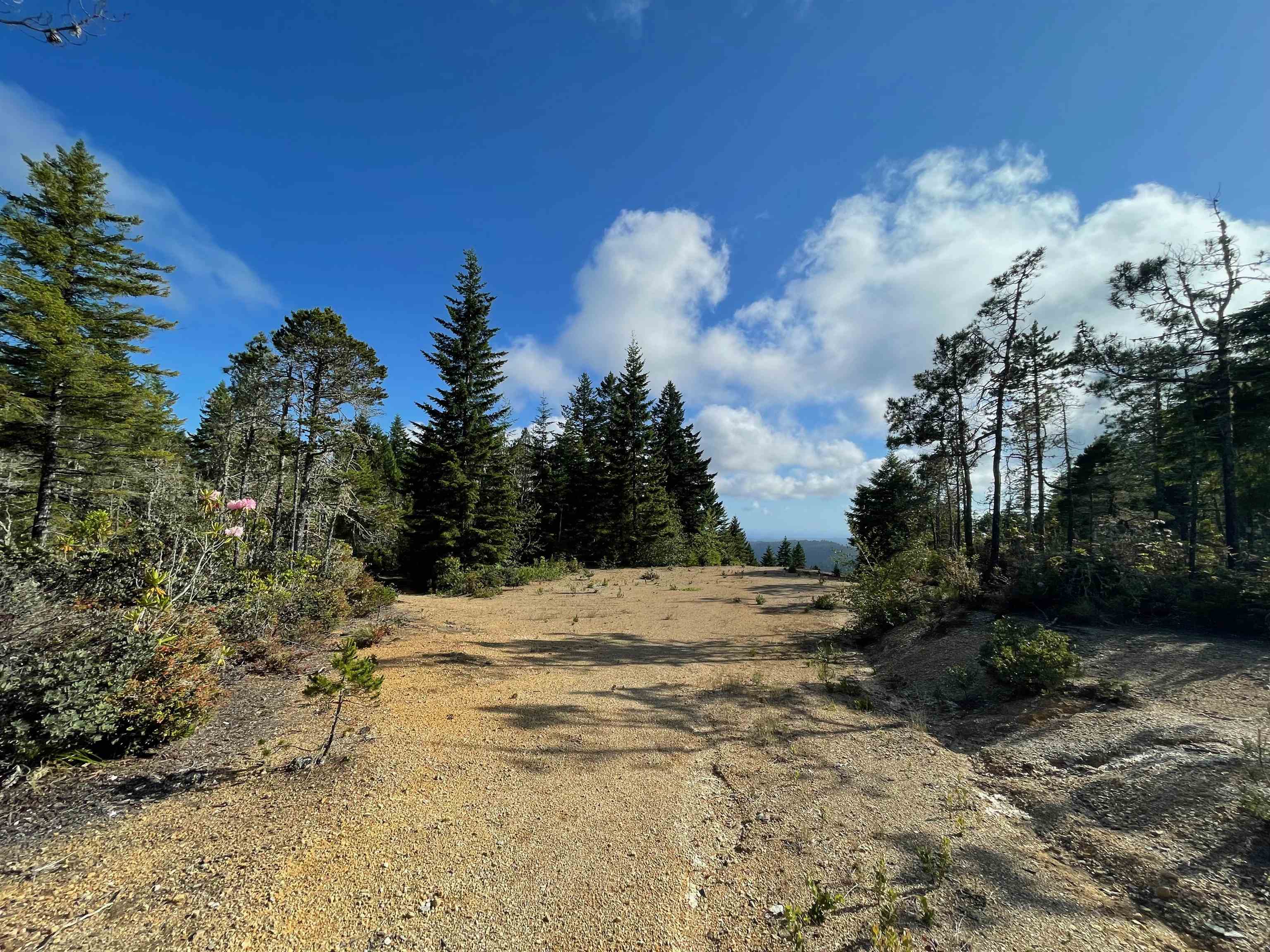 1851 Low Divide Road
