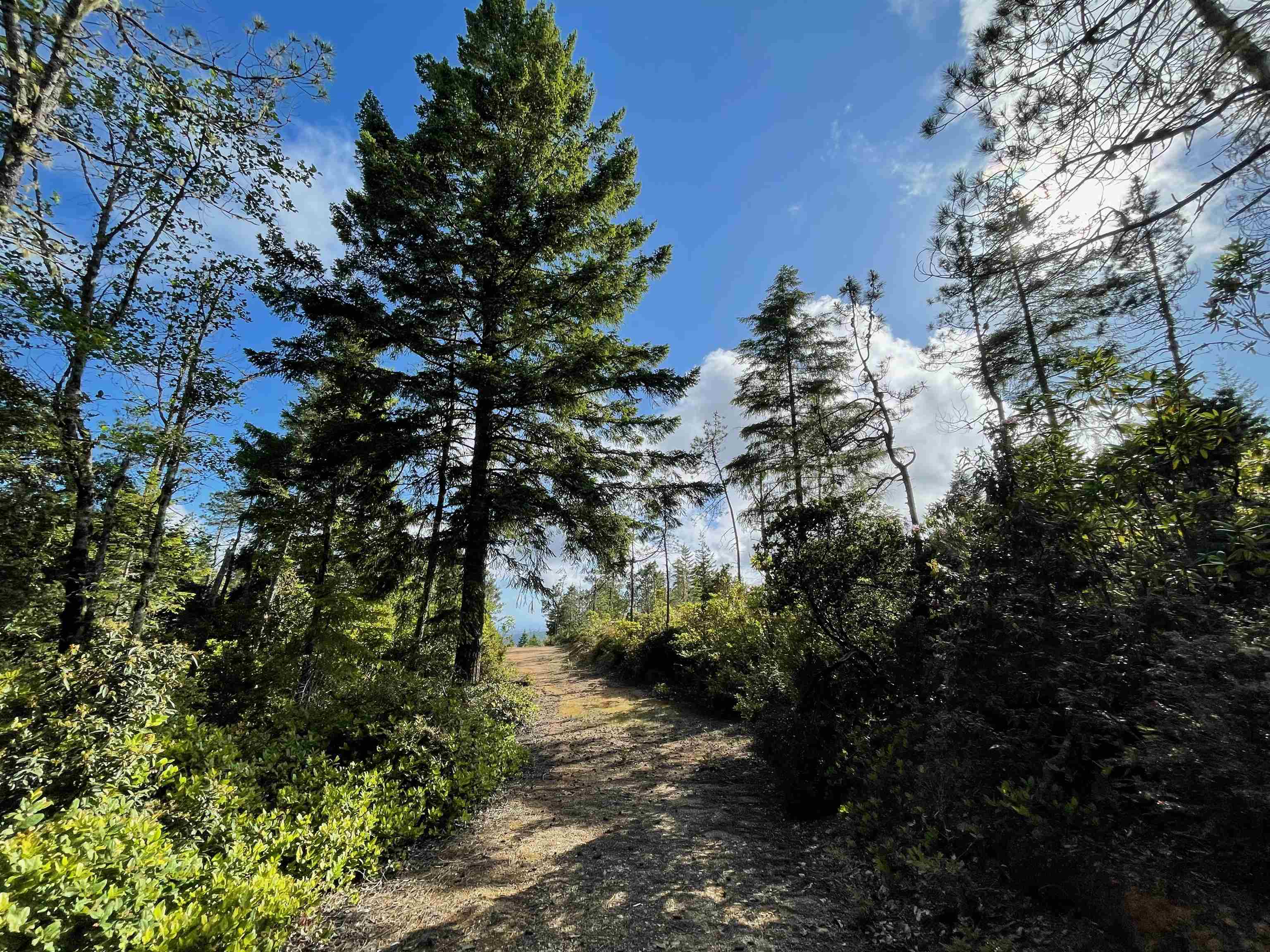 1851 Low Divide Road