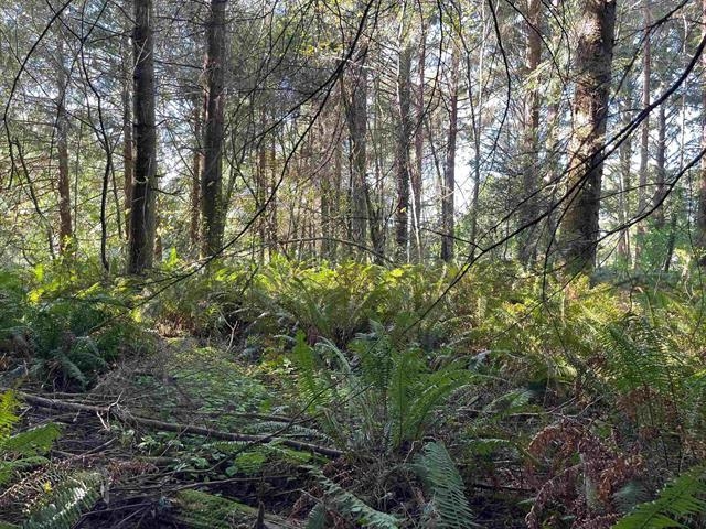 600 Tedsen Lane