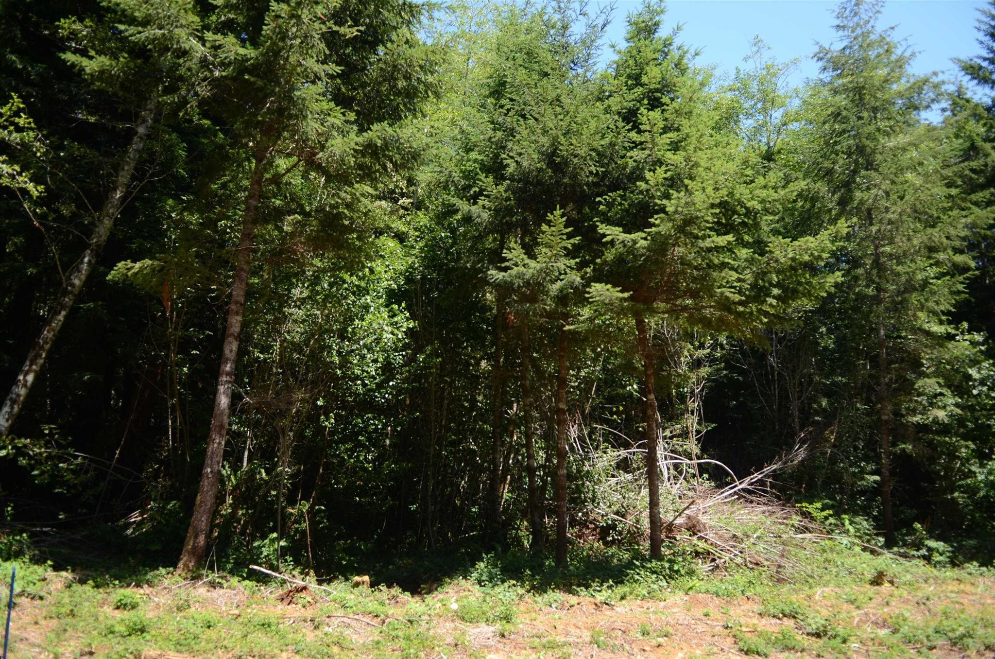 Lot 43 Speer Drive