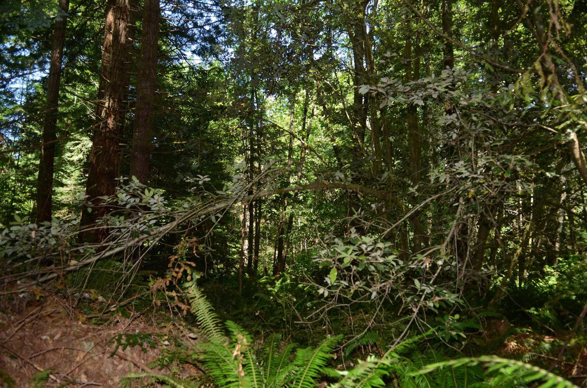 Lot 43 Speer Drive