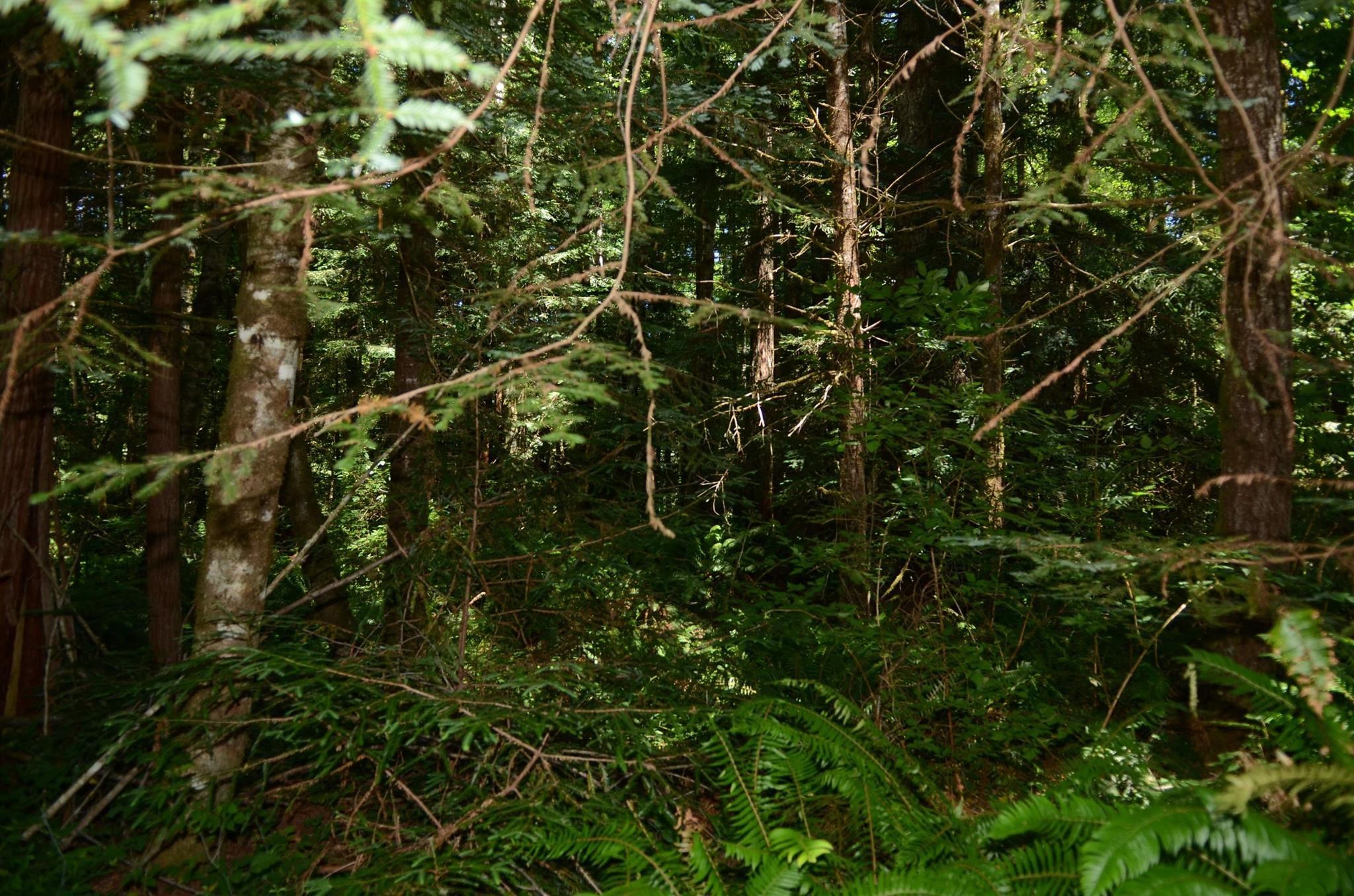 Lot 44 Speer Drive