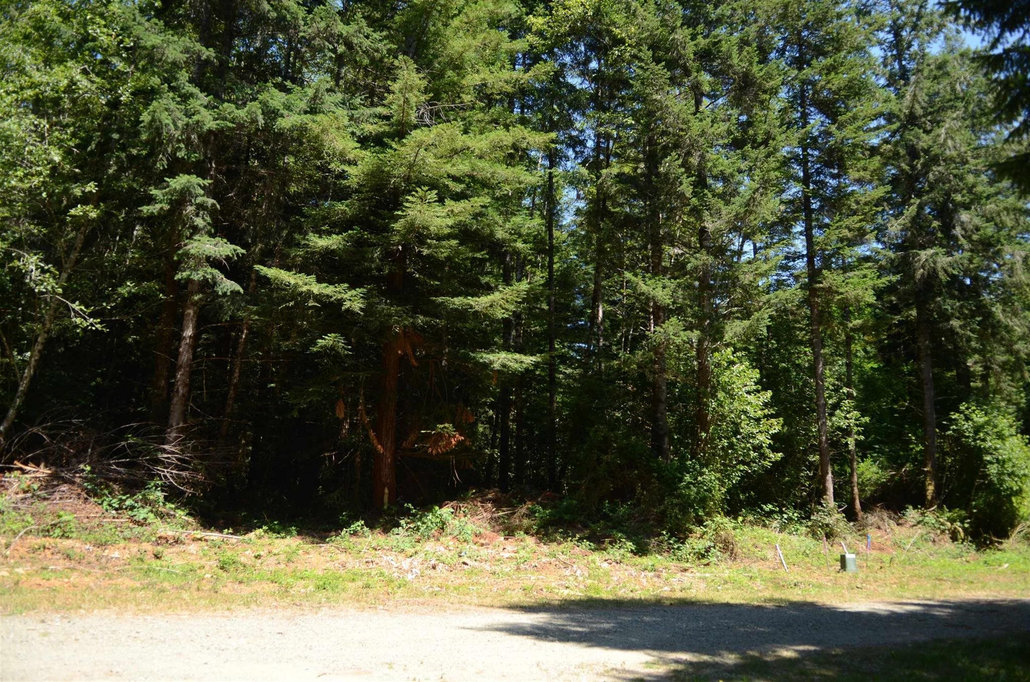 Lot 44 Speer Drive