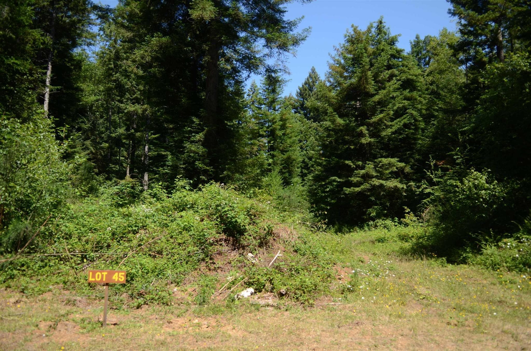 Lot 45 Speer Drive