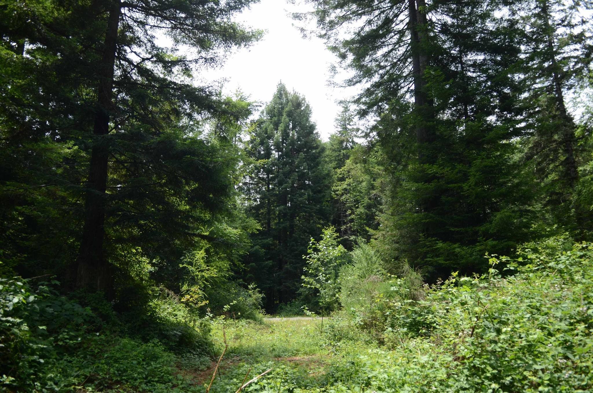 Lot 45 Speer Drive