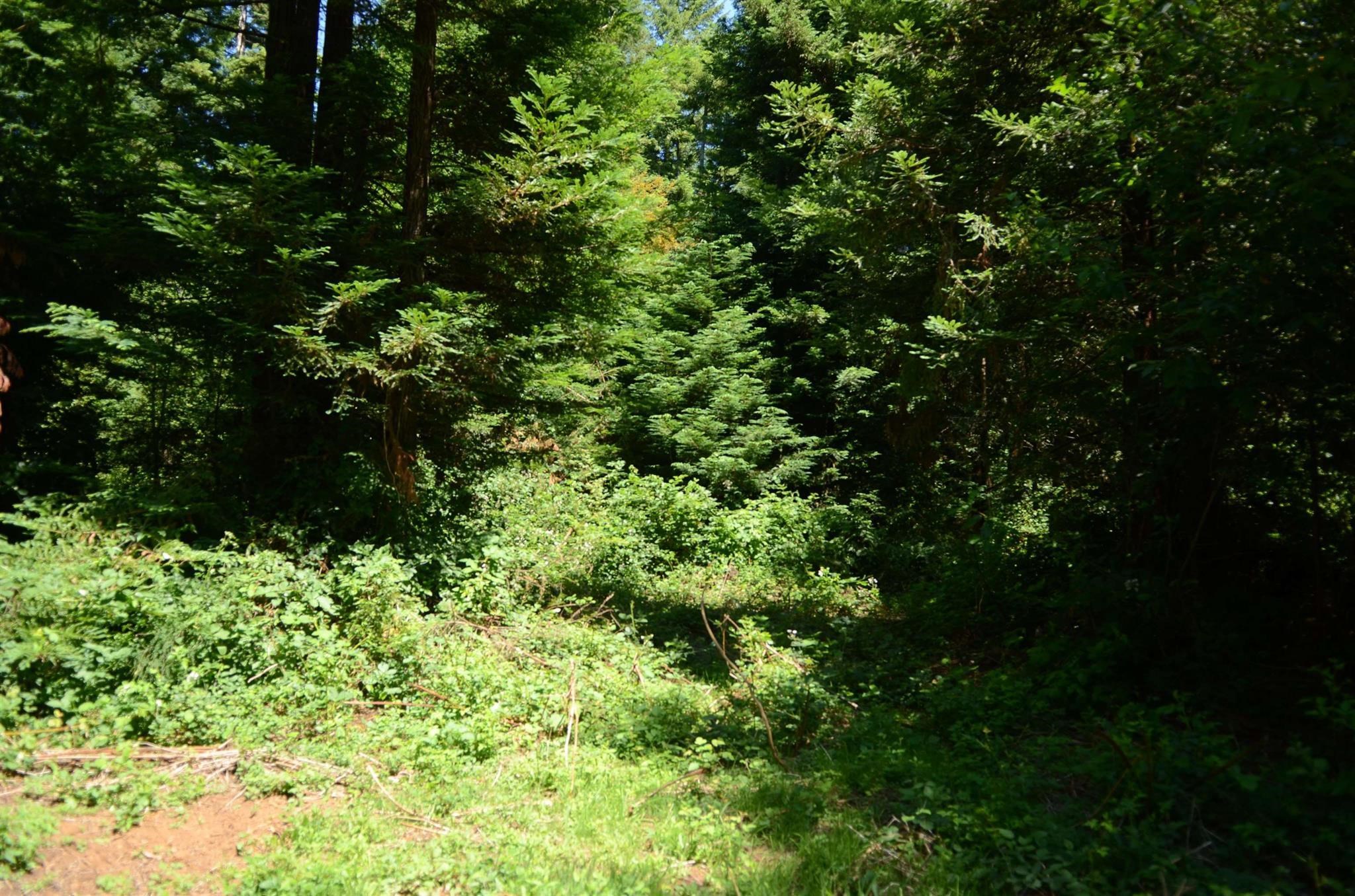 Lot 45 Speer Drive