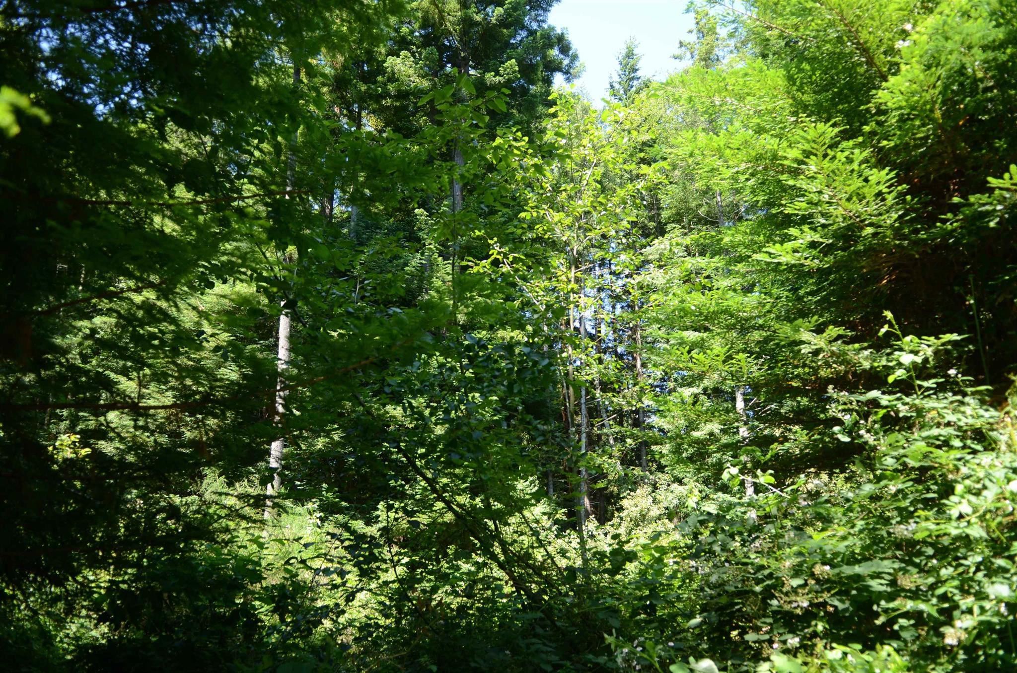 Lot 45 Speer Drive