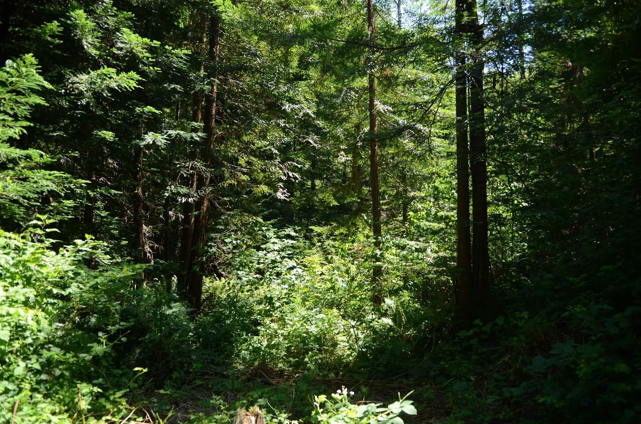 Lot 45 Speer Drive