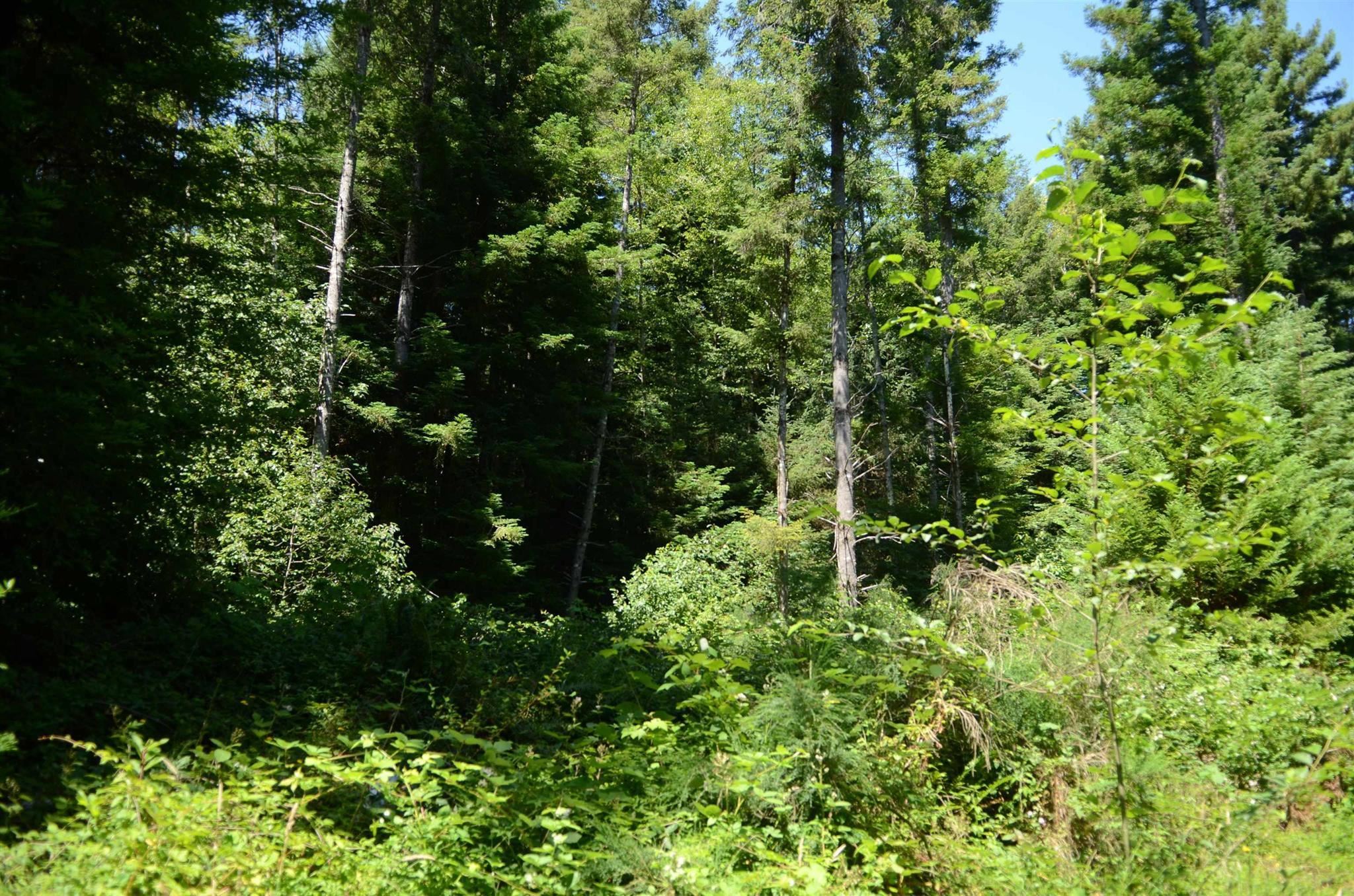 Lot 45 Speer Drive