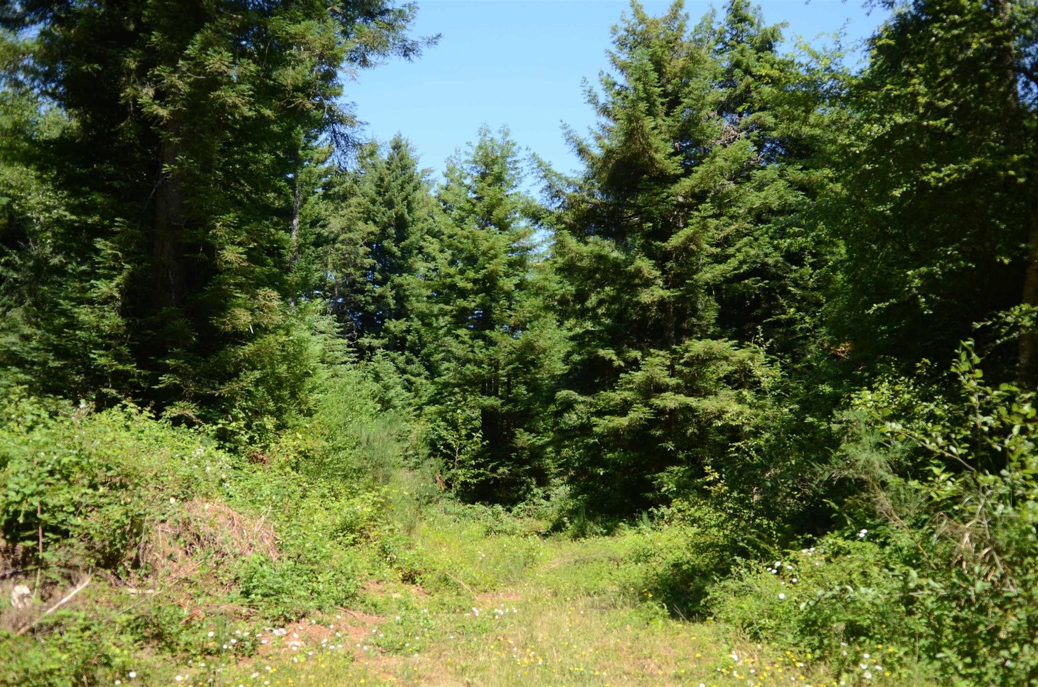 Lot 45 Speer Drive