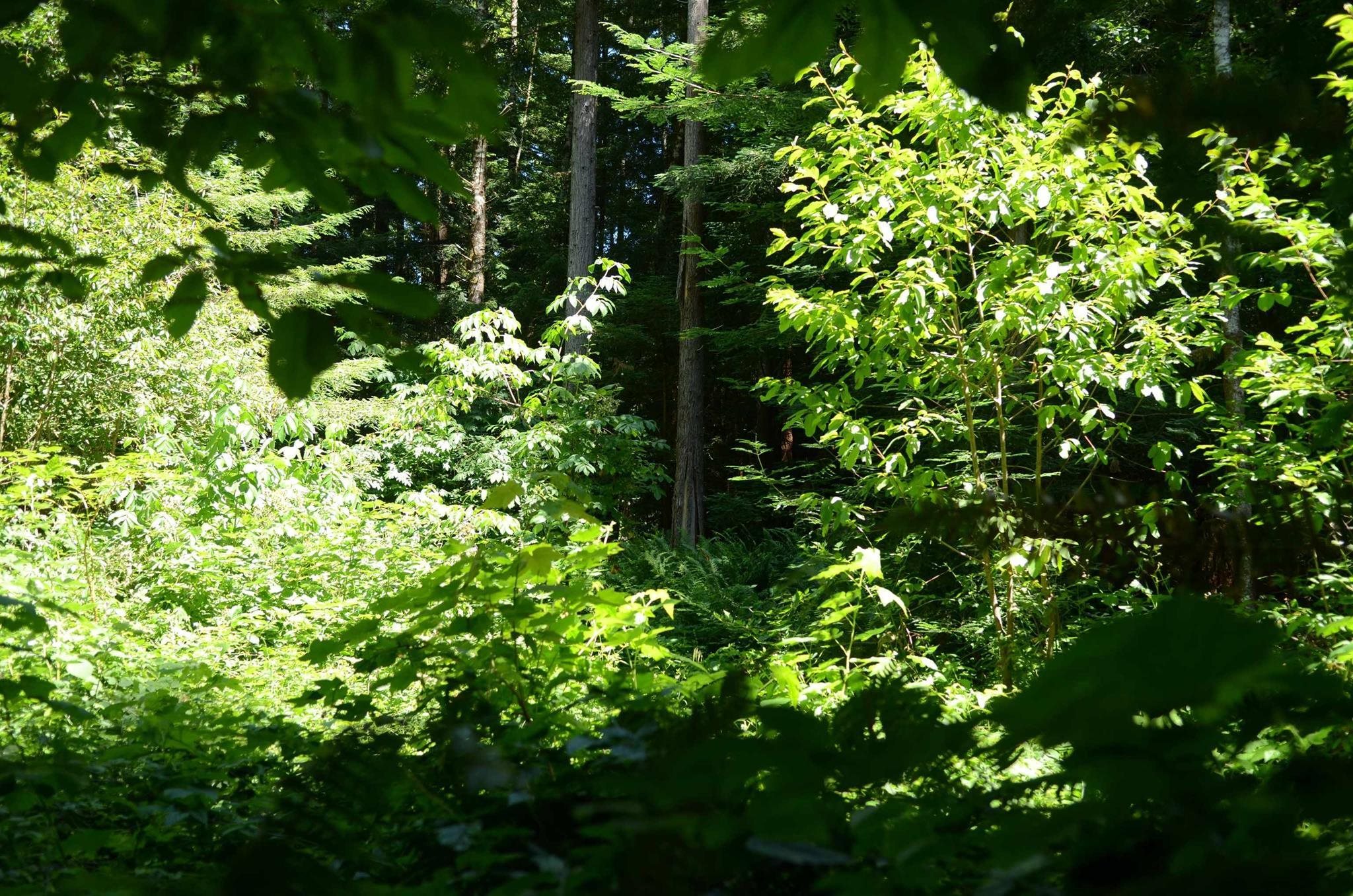 Lot 46 Speer Drive