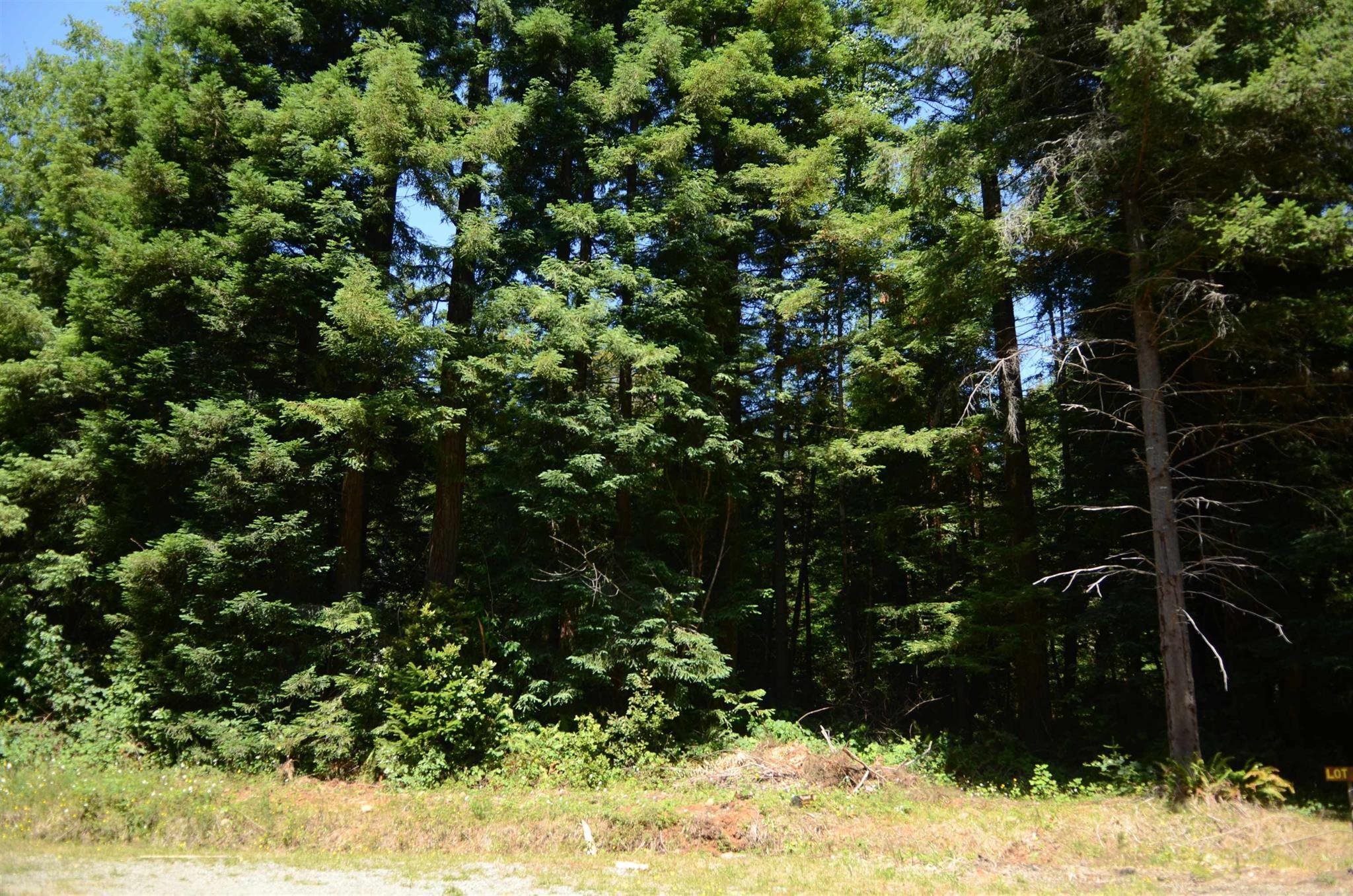 Lot 46 Speer Drive
