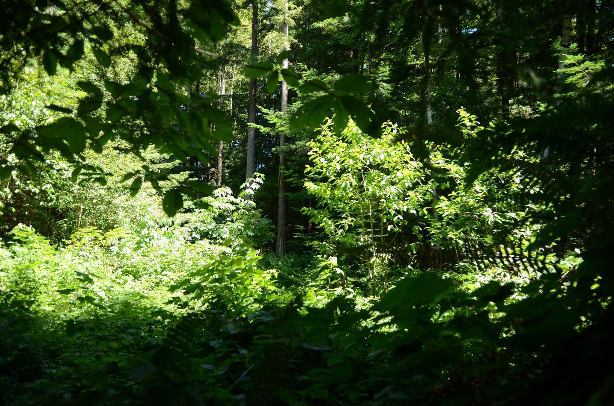 Lot 46 Speer Drive