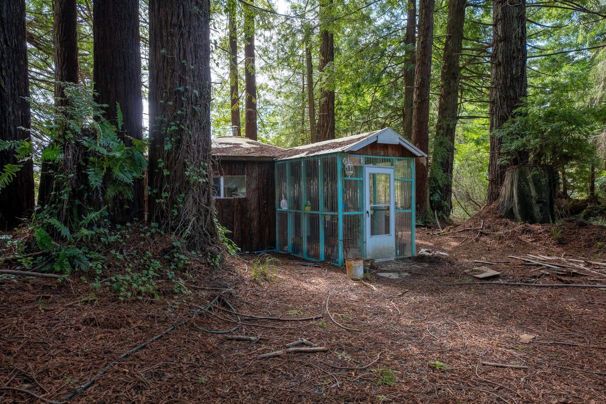 3800 Wonderstump Road