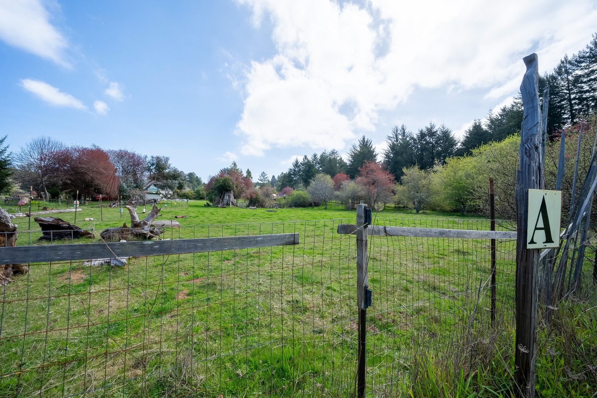 3800 Wonderstump Road