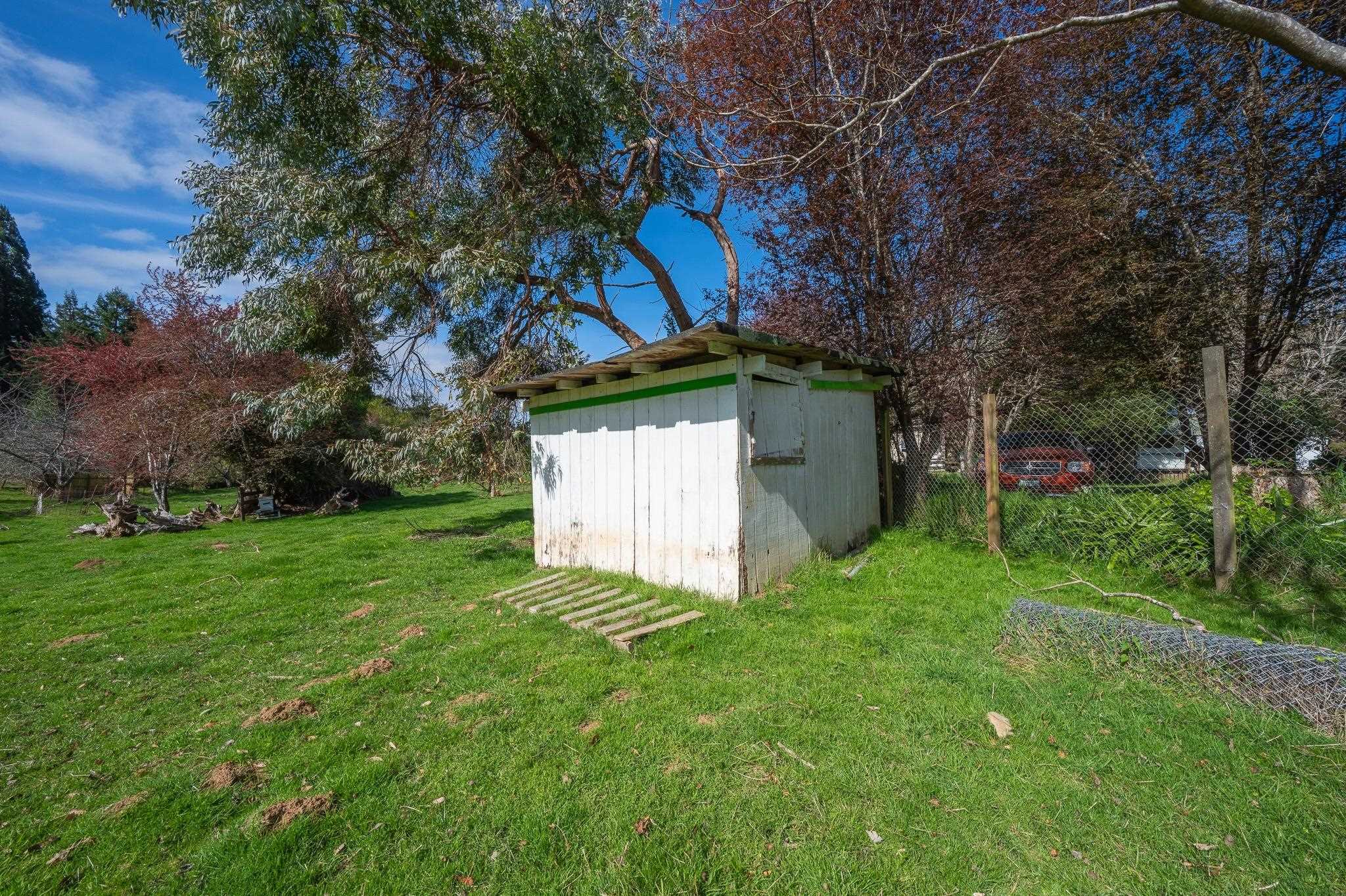 3800 Wonderstump Road