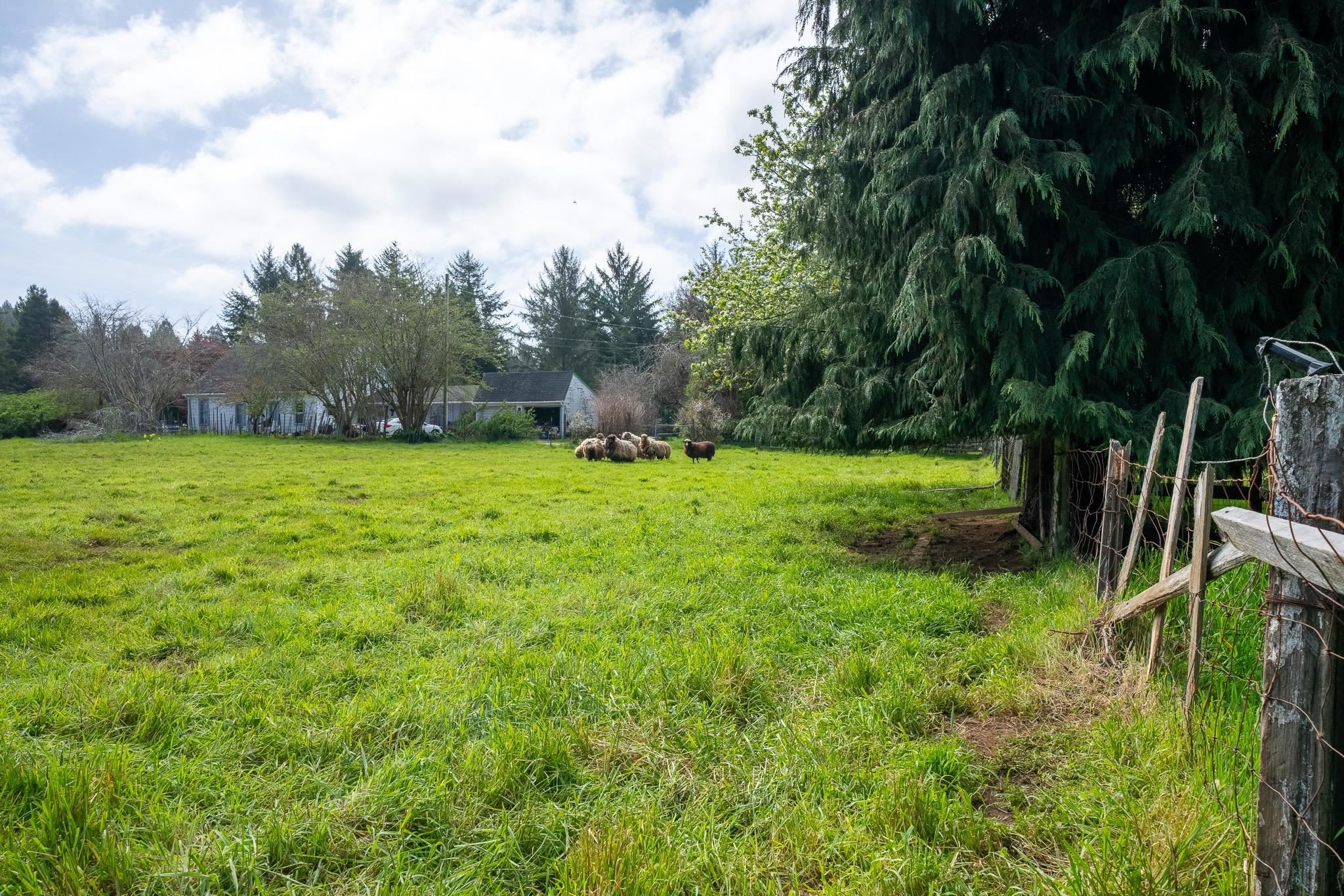 3800 Wonderstump Road