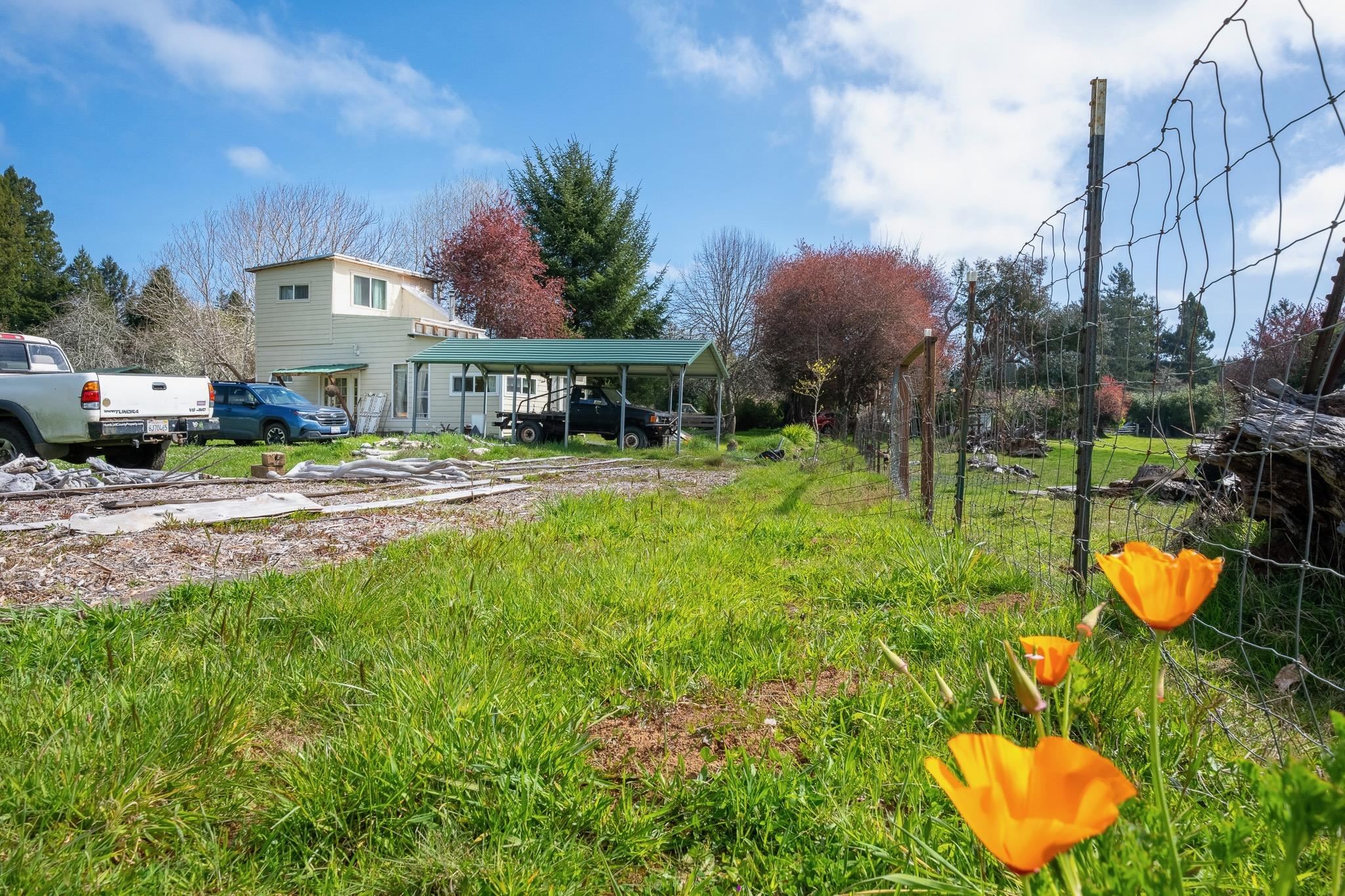 3800 Wonderstump Road