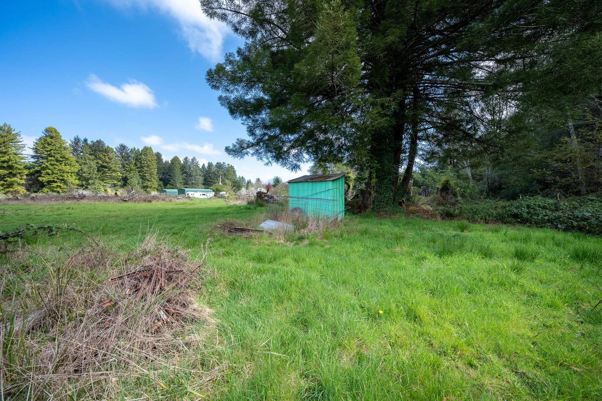 3800 Wonderstump Road