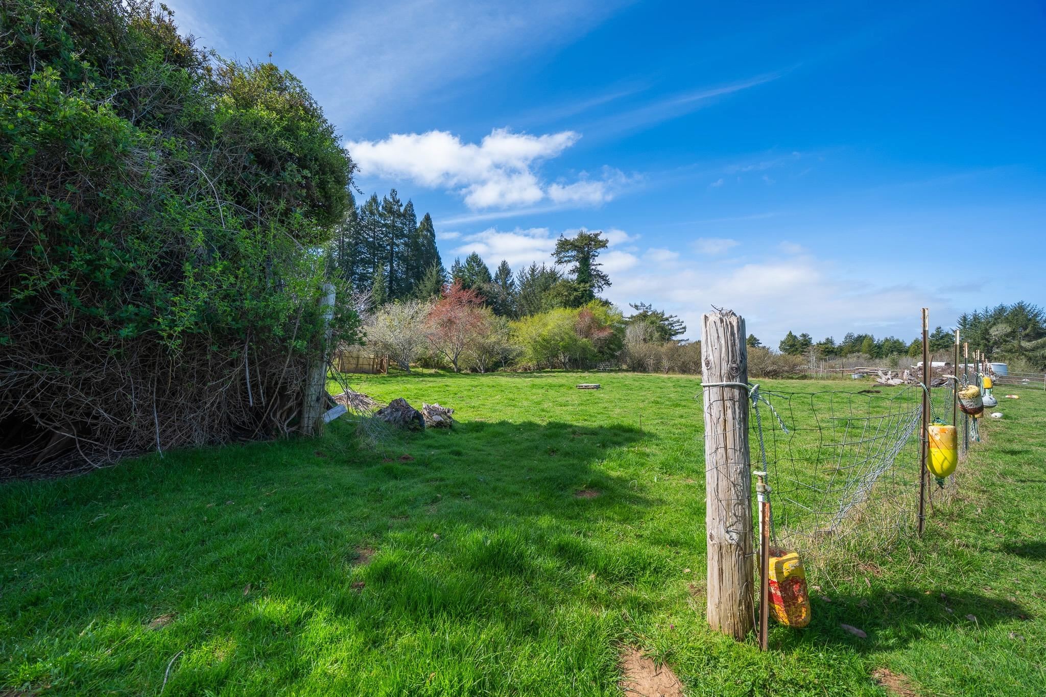 3800 Wonderstump Road