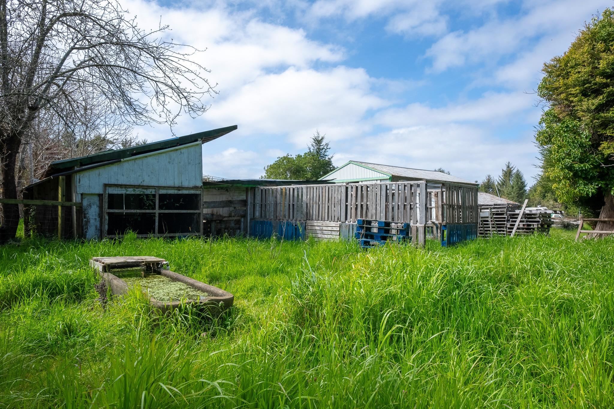 3800 Wonderstump Road