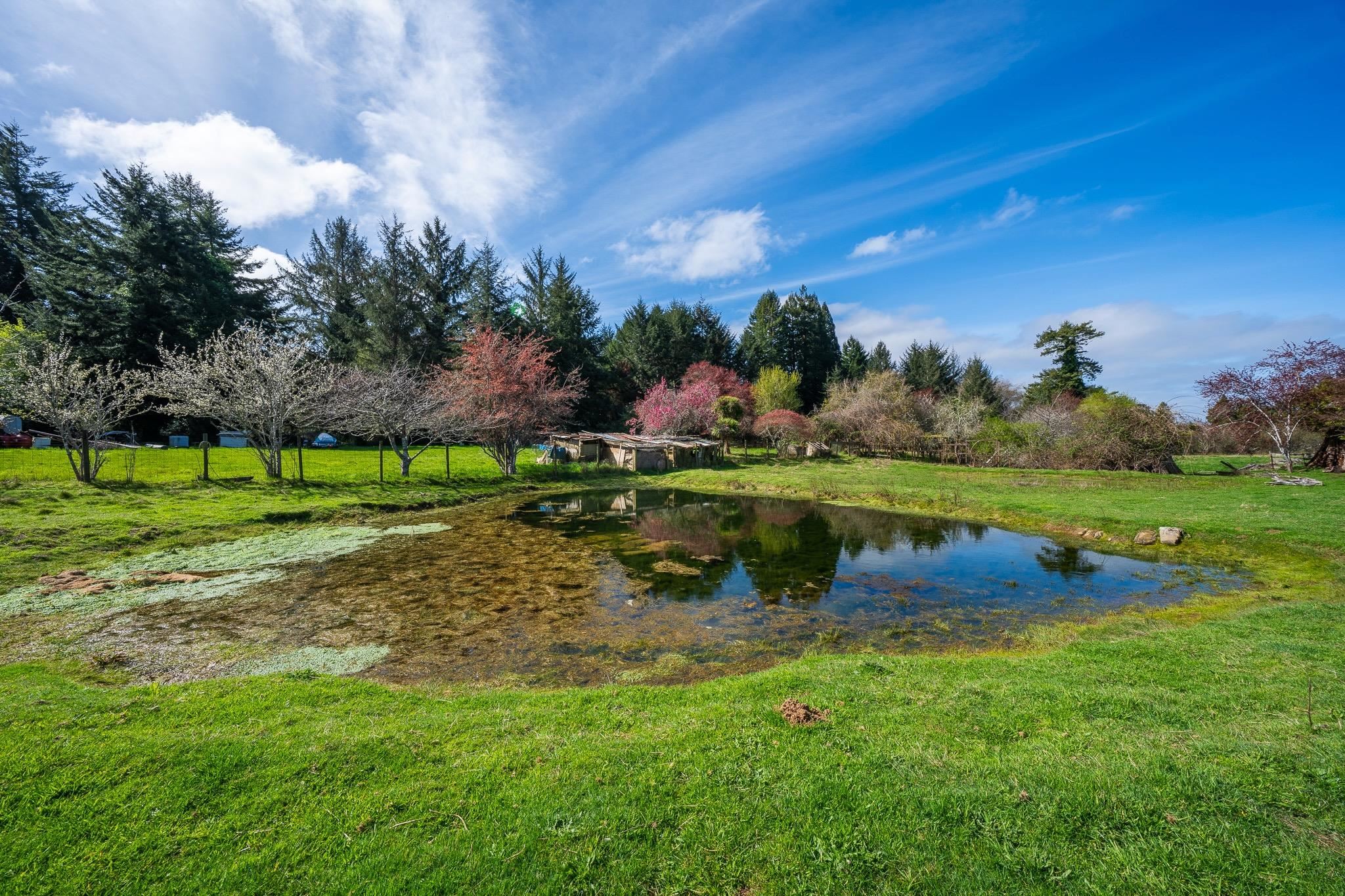 3800 Wonderstump Road