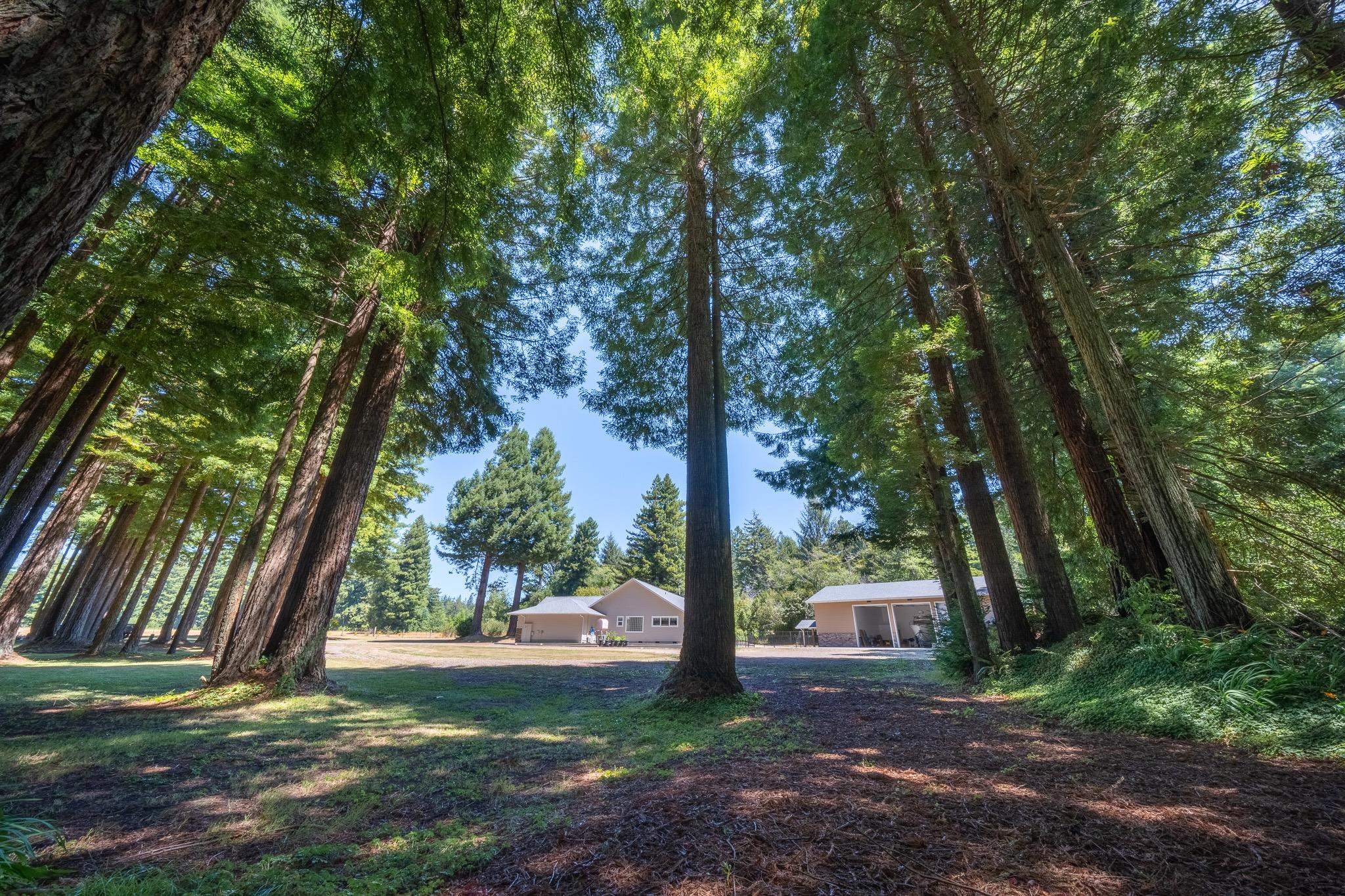 265 Little Redwood Lane