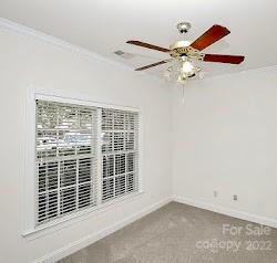 2310 Pinefield Court