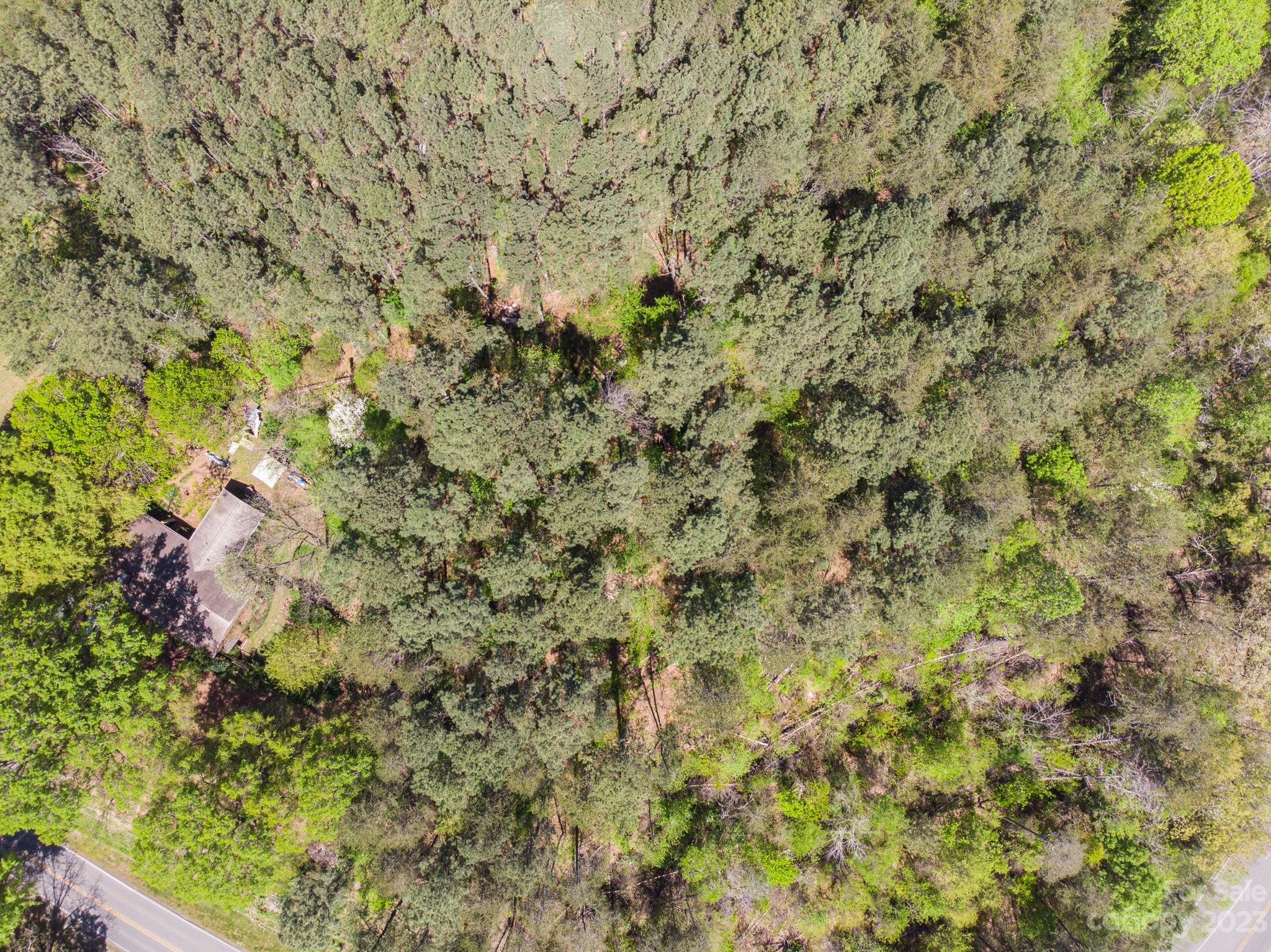 5004 Lewis Road
