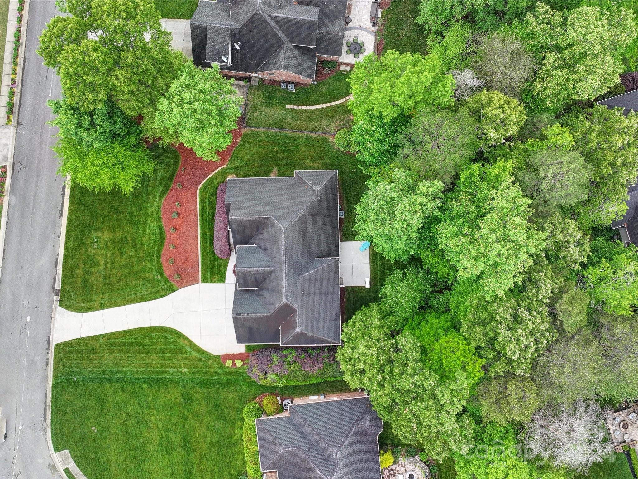 3717 Carolina Cherry Court