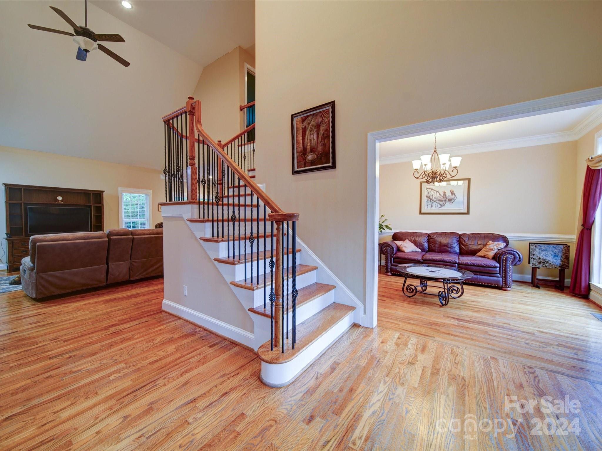 3717 Carolina Cherry Court