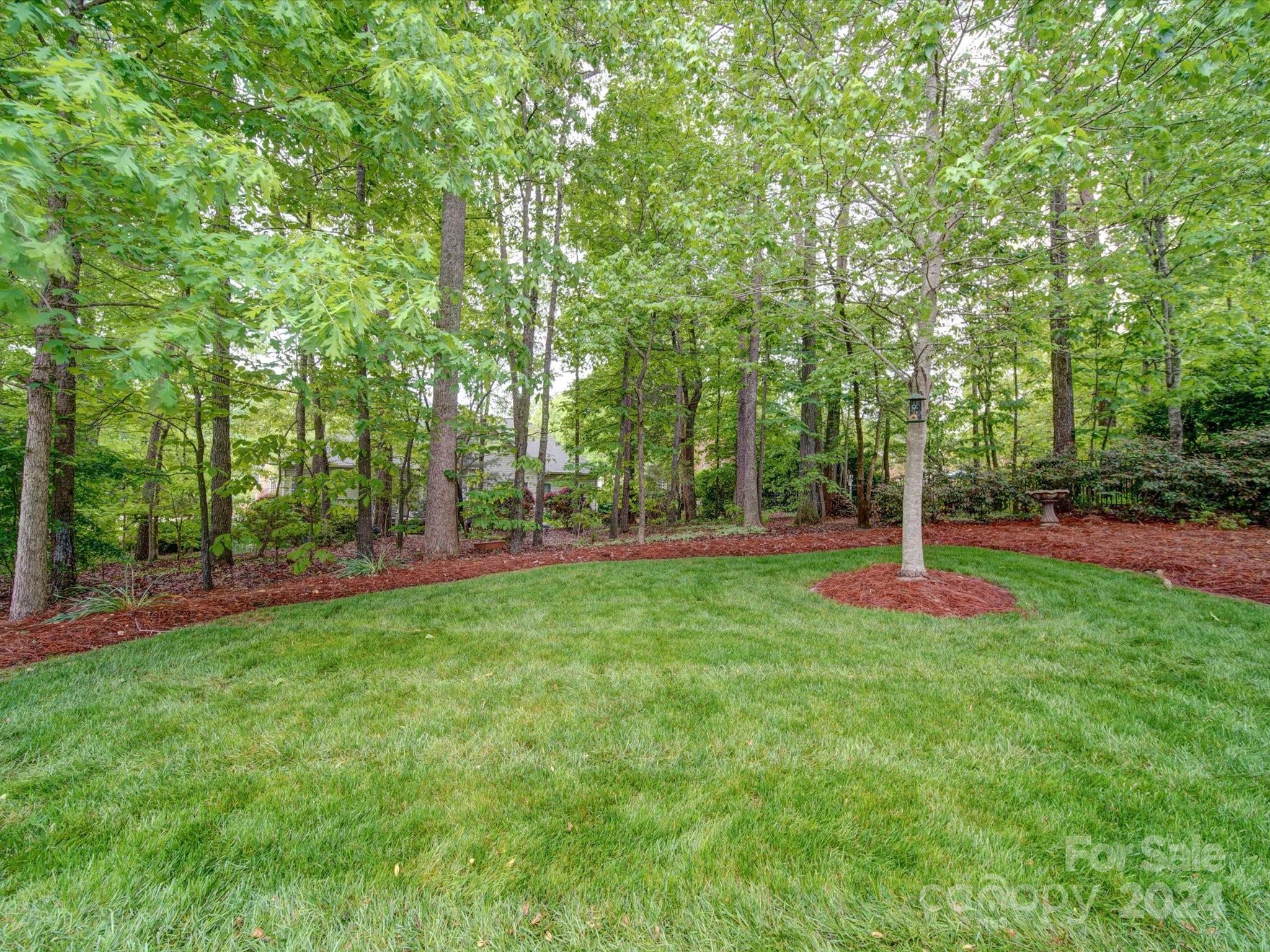 3717 Carolina Cherry Court