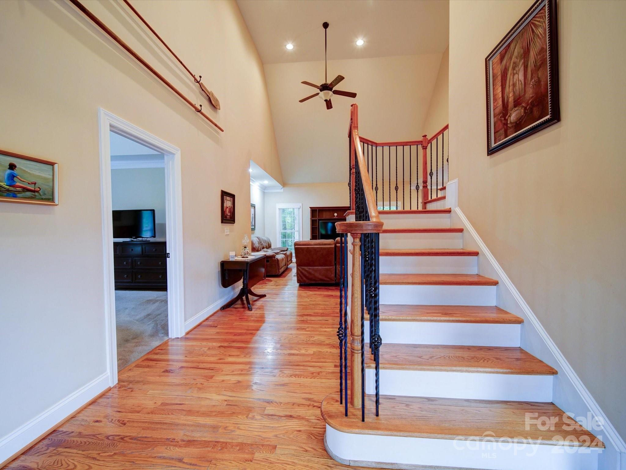 3717 Carolina Cherry Court