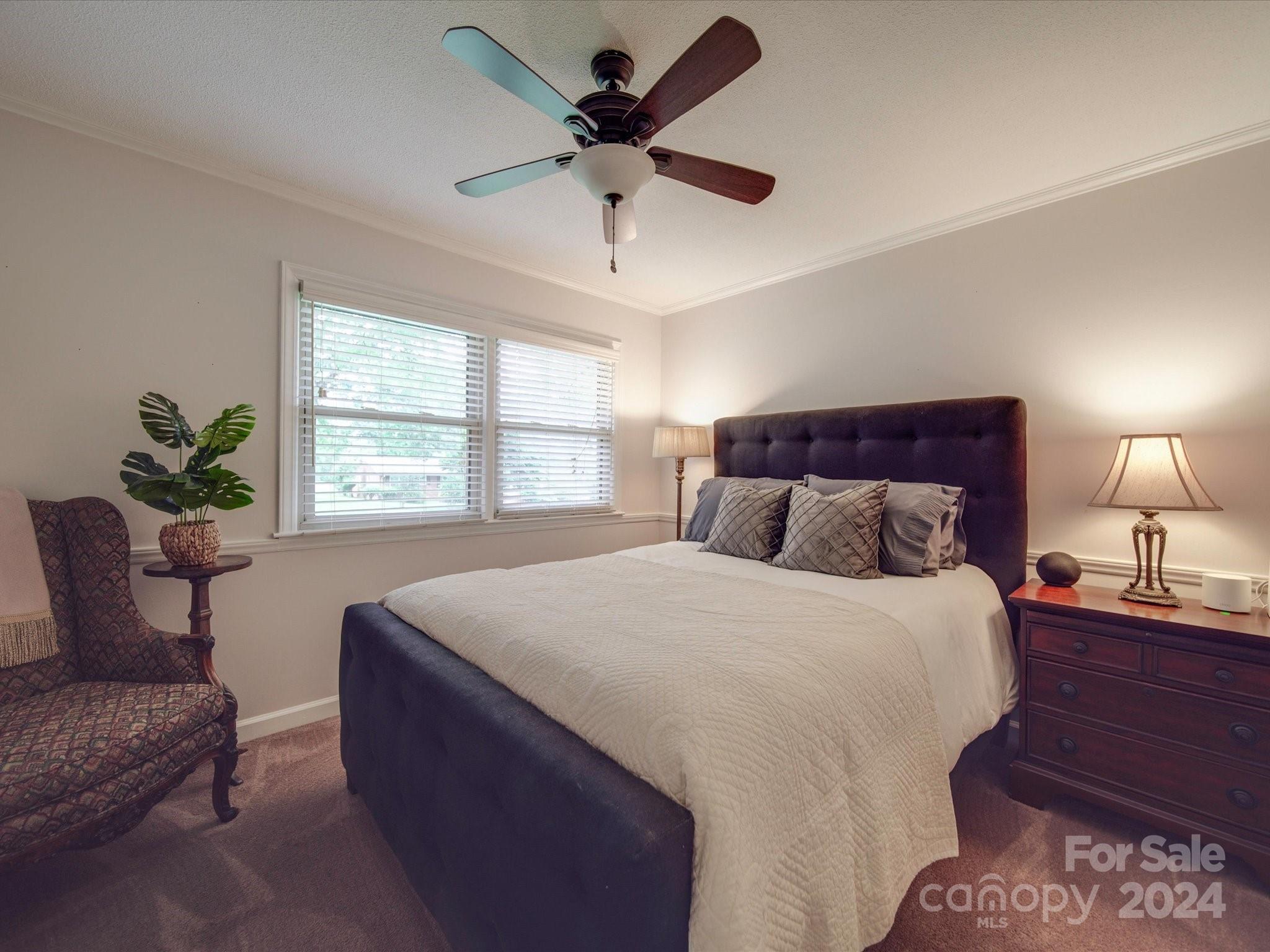 534 Rosemary Lane