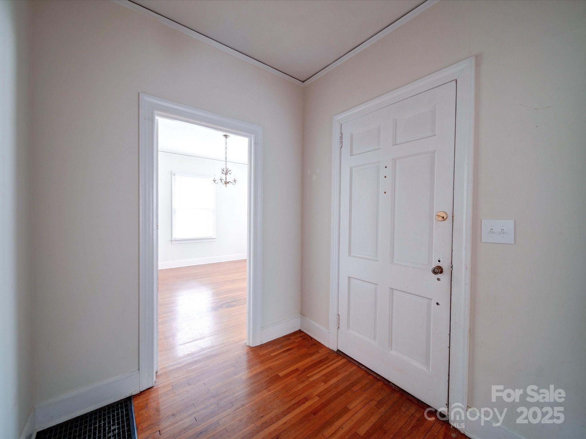 705 Neil Street