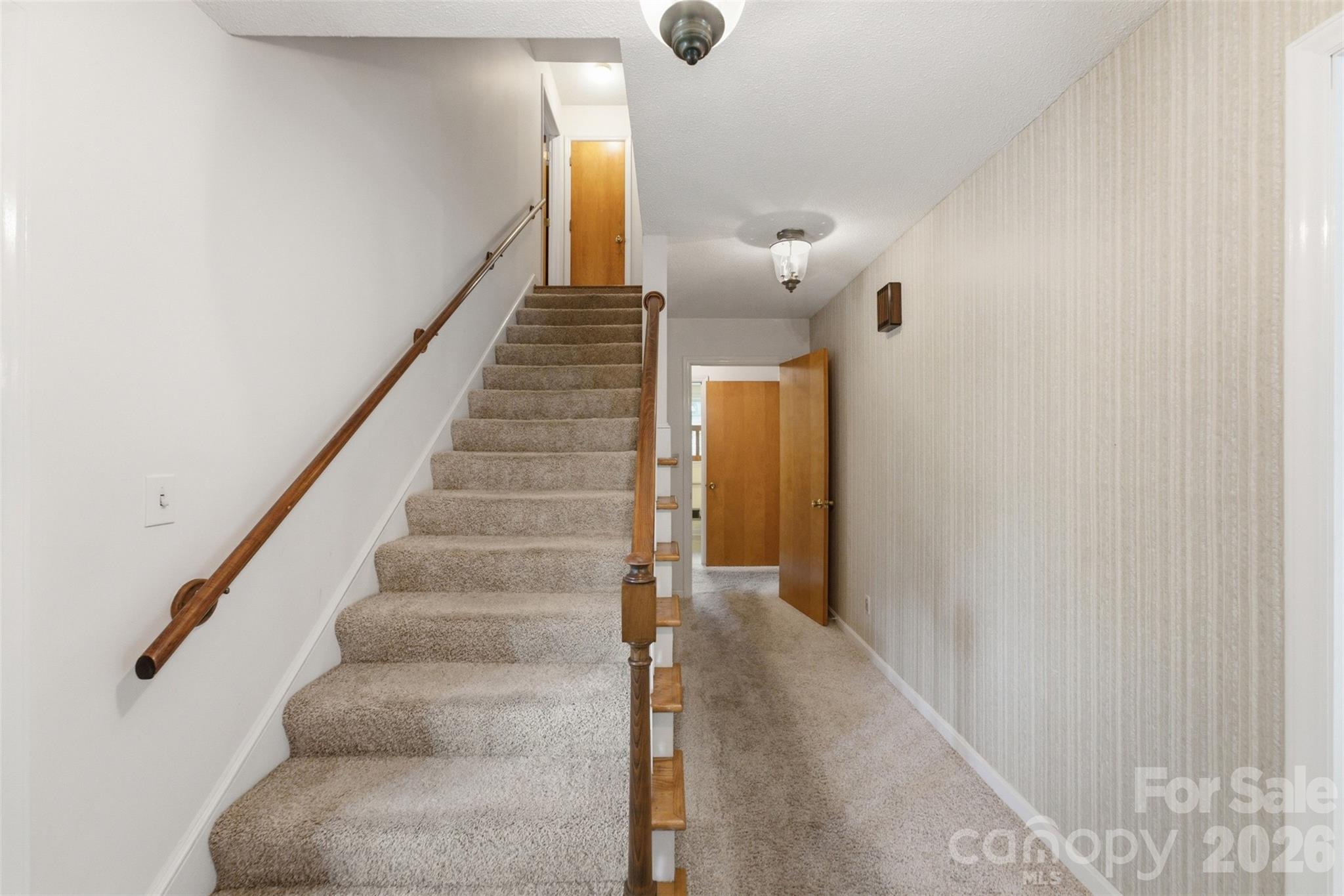 317 Rosemary Lane