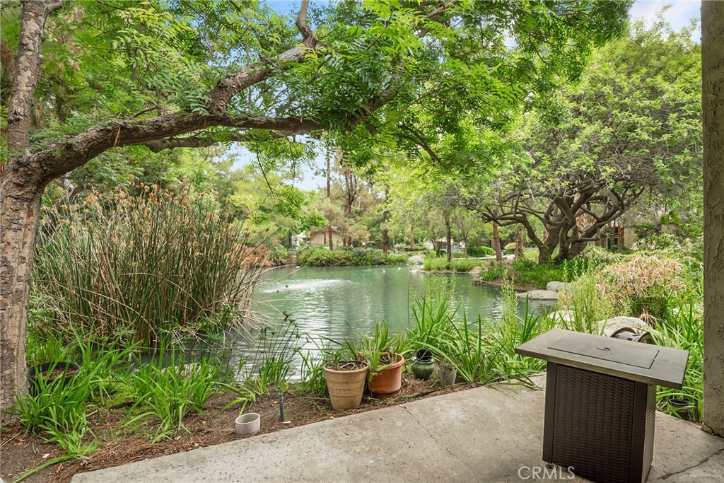 4900 E Chapman Avenue 102